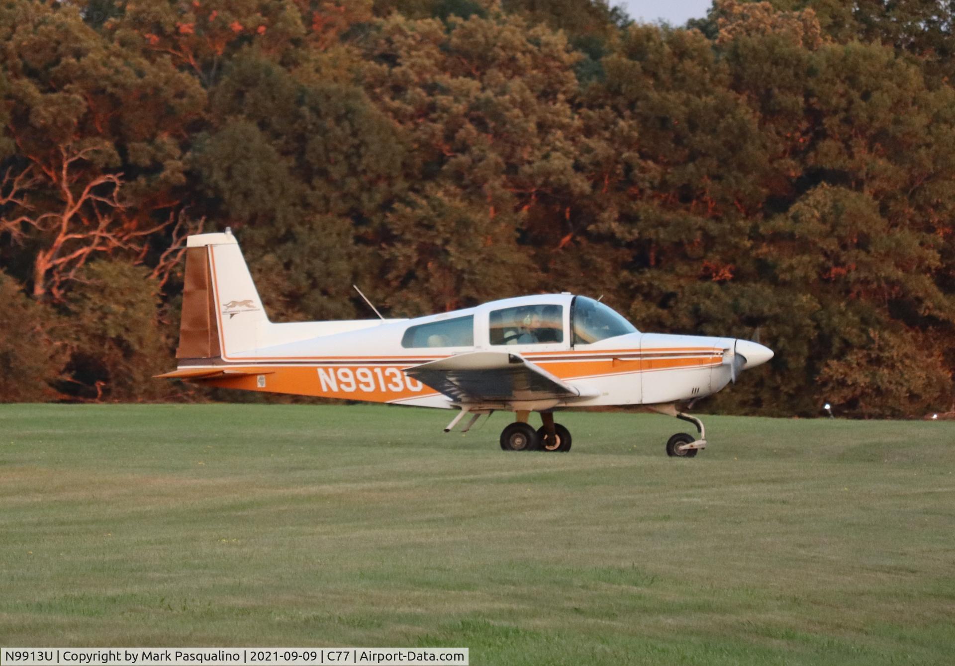 N9913U, 1977 Grumman American AA-5A Cheetah C/N AA5A0313, Grumman American AA-5A