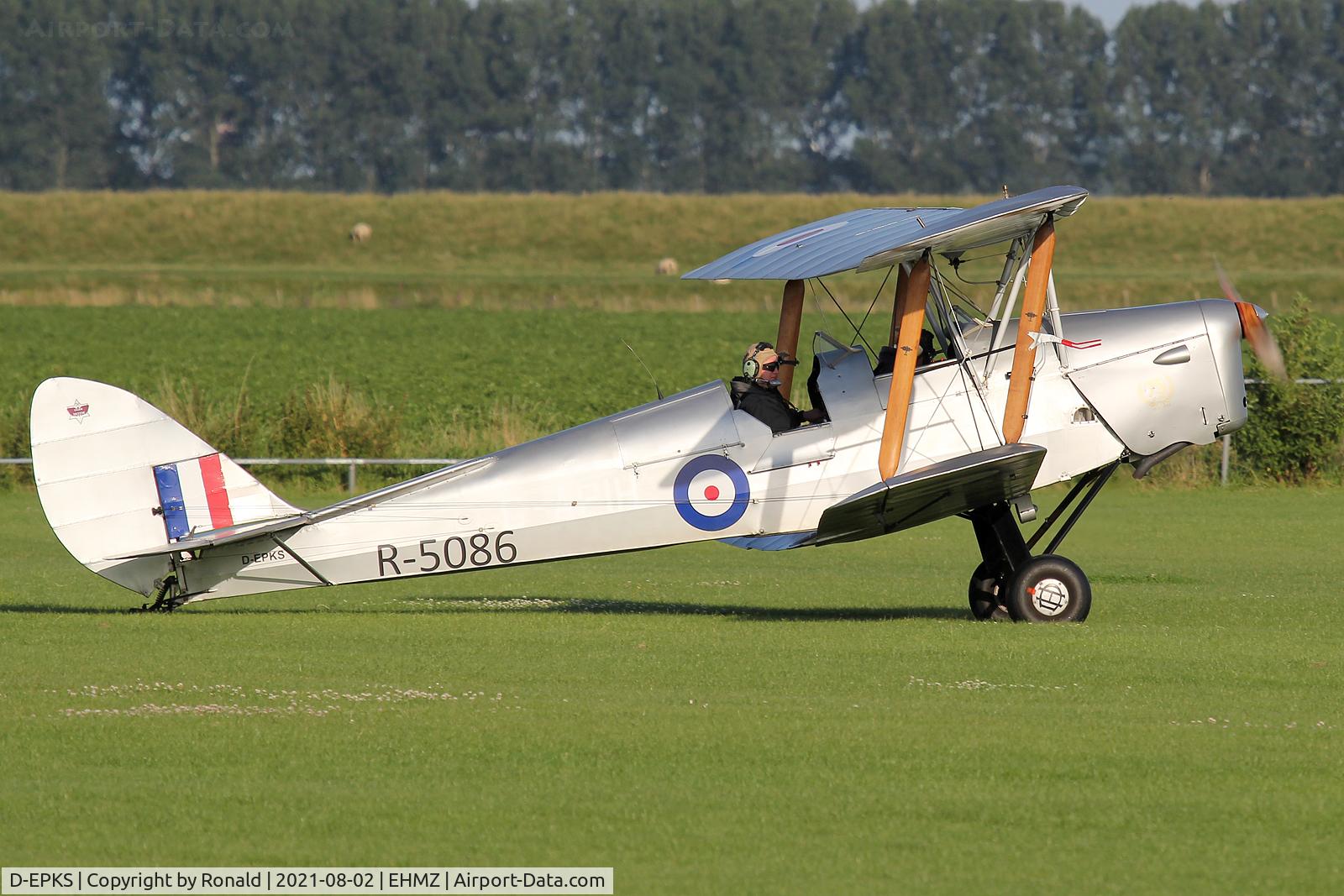 D-EPKS, 1939 De Havilland DH-82A Tiger Moth II C/N 82981, at ehmz