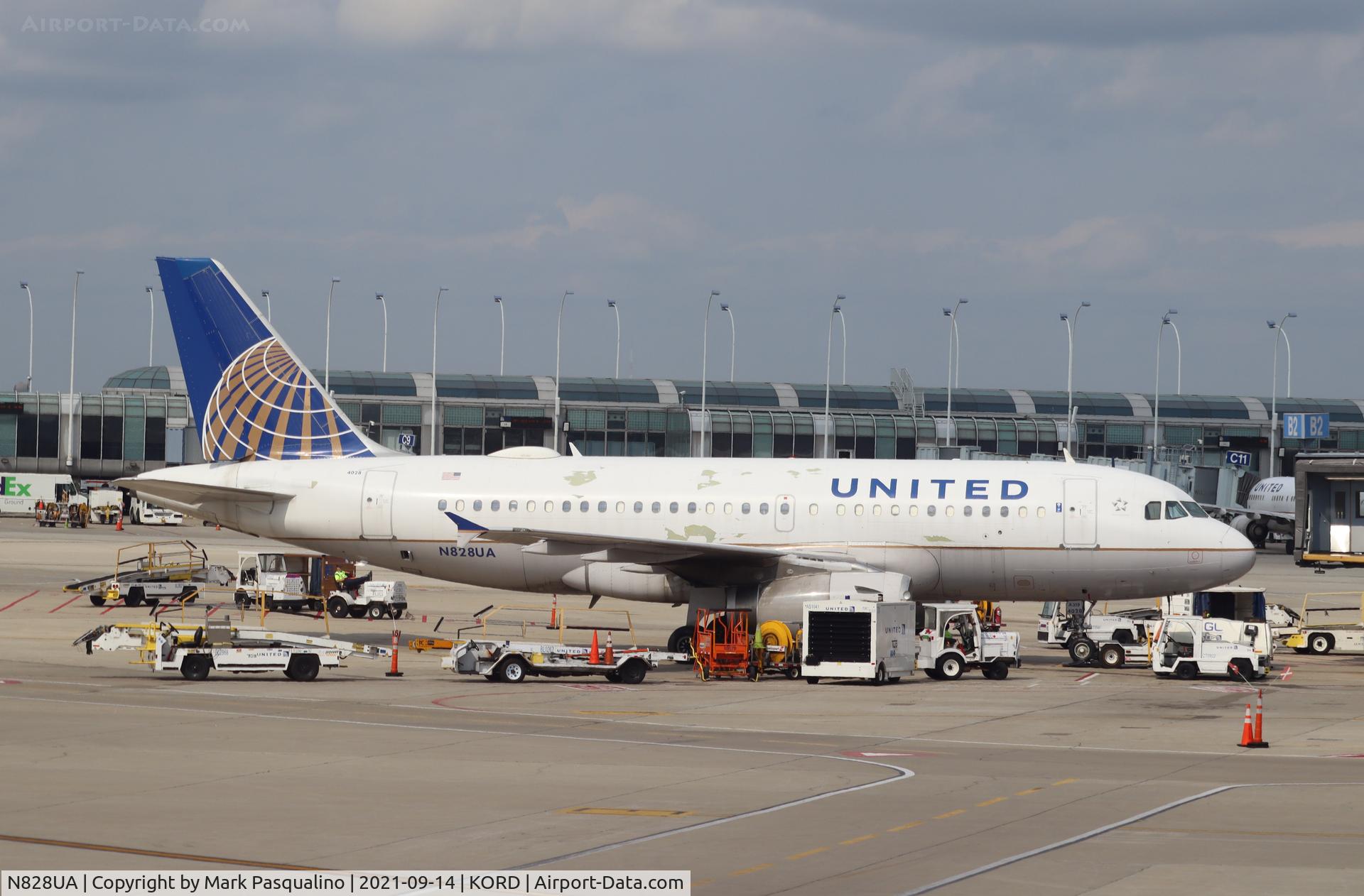 N828UA, 1999 Airbus A319-131 C/N 1031, Airbus A319-131