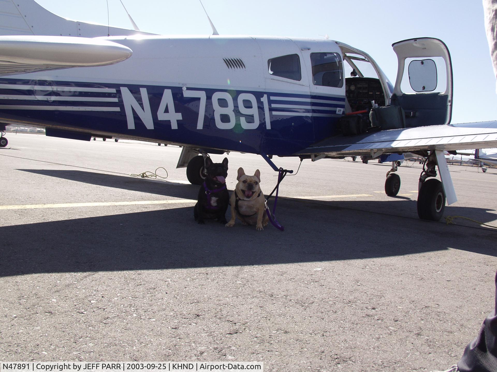 N47891, Piper PA-28R-201T Cherokee Arrow III C/N 28R-7803035, french bulldogs getting ready to take a trip