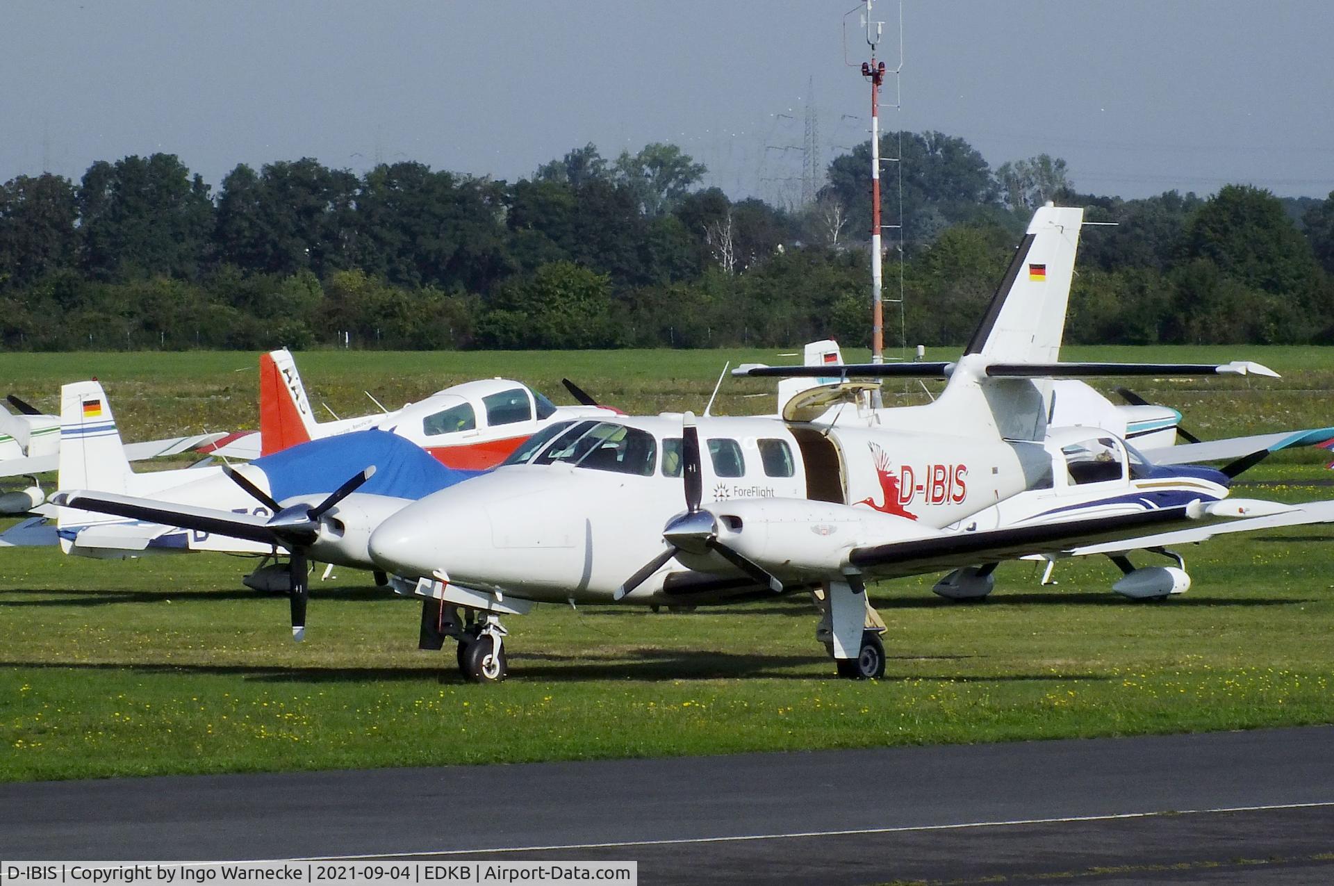 D-IBIS, 1981 Cessna T303 Crusader C/N T30300024, Cessna T303 Crusader at Bonn-Hangelar airfield during the Grumman Fly-in 2021