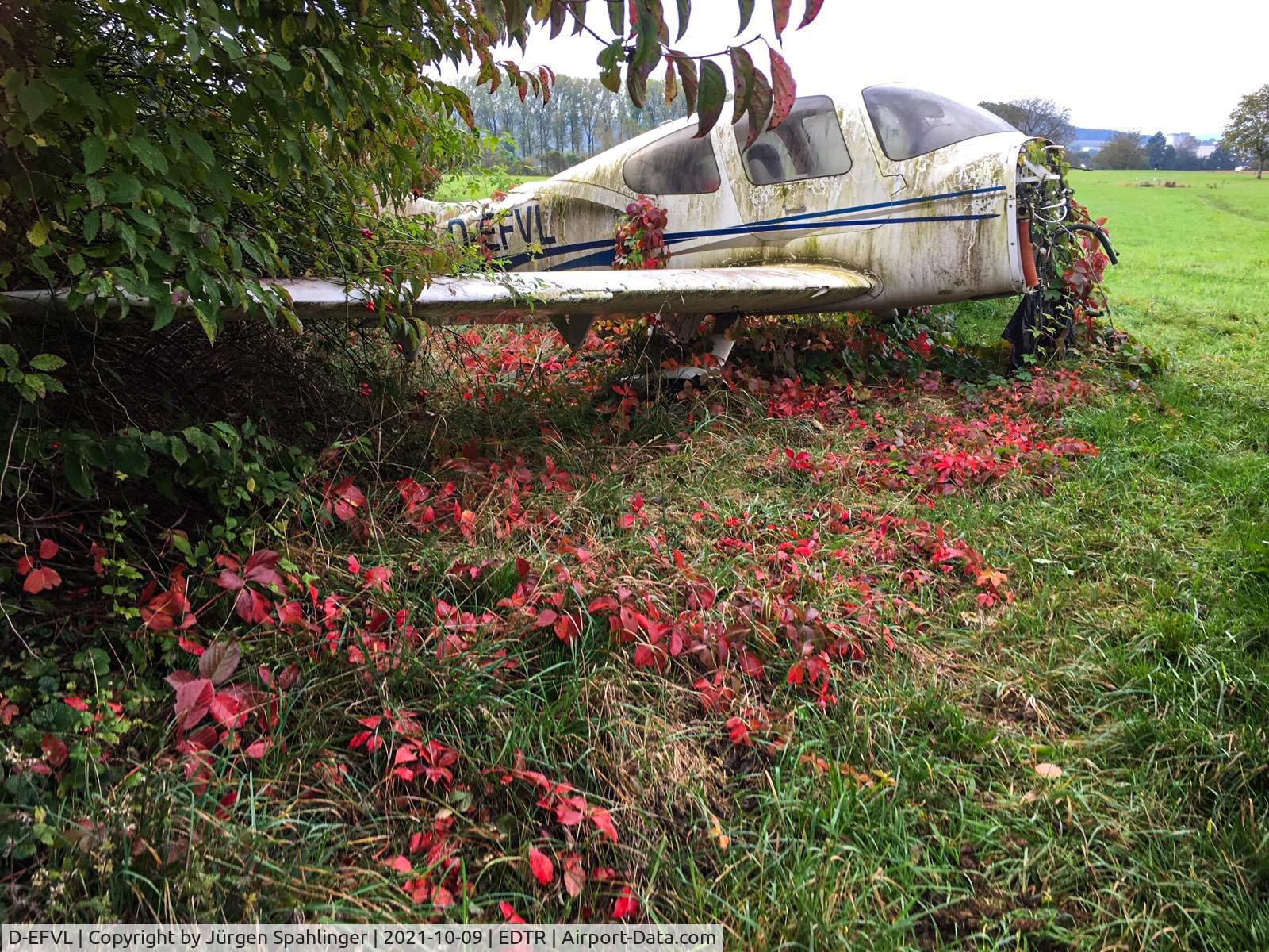 D-EFVL, 2004 Cirrus SR20 C/N 1403, Wild vine grows up the plane