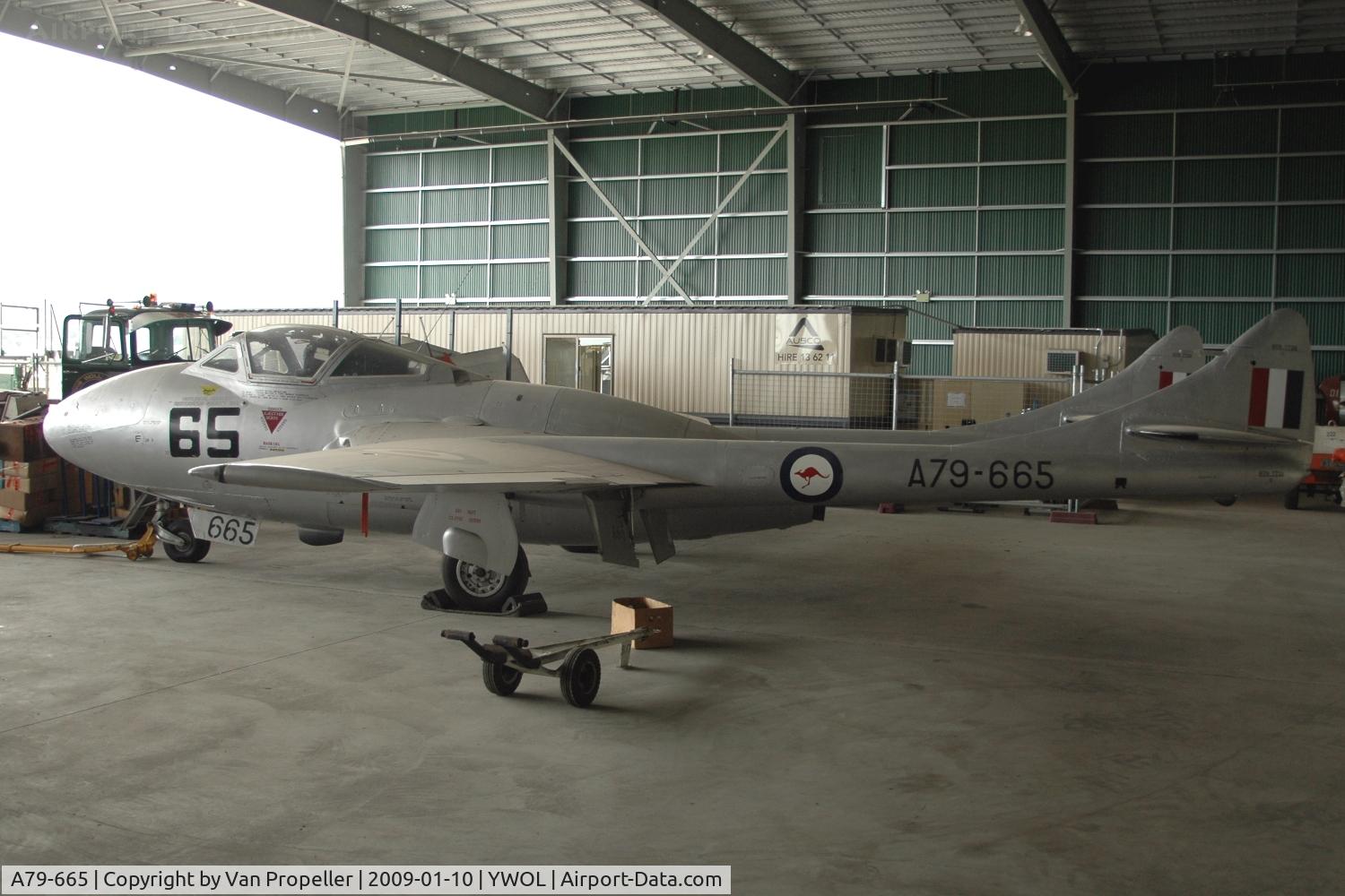 A79-665, De Havilland Australia DH-115 Vampire T.35 C/N DHA4187, Vampire T.Mk.35 in the HARS hangar at Albion Park/Wollongong airport, NSW, Australia, 2009