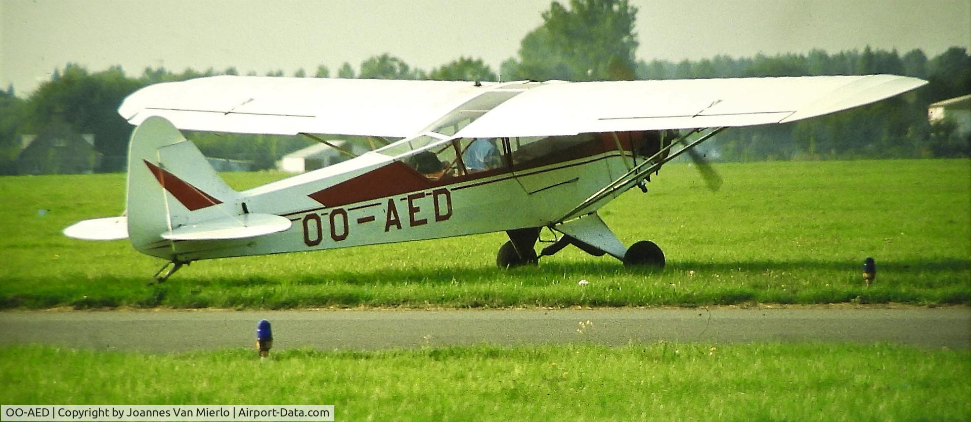 OO-AED, 1944 Piper L-4J Grasshopper (J3C-65D) C/N 12379, Slide scan