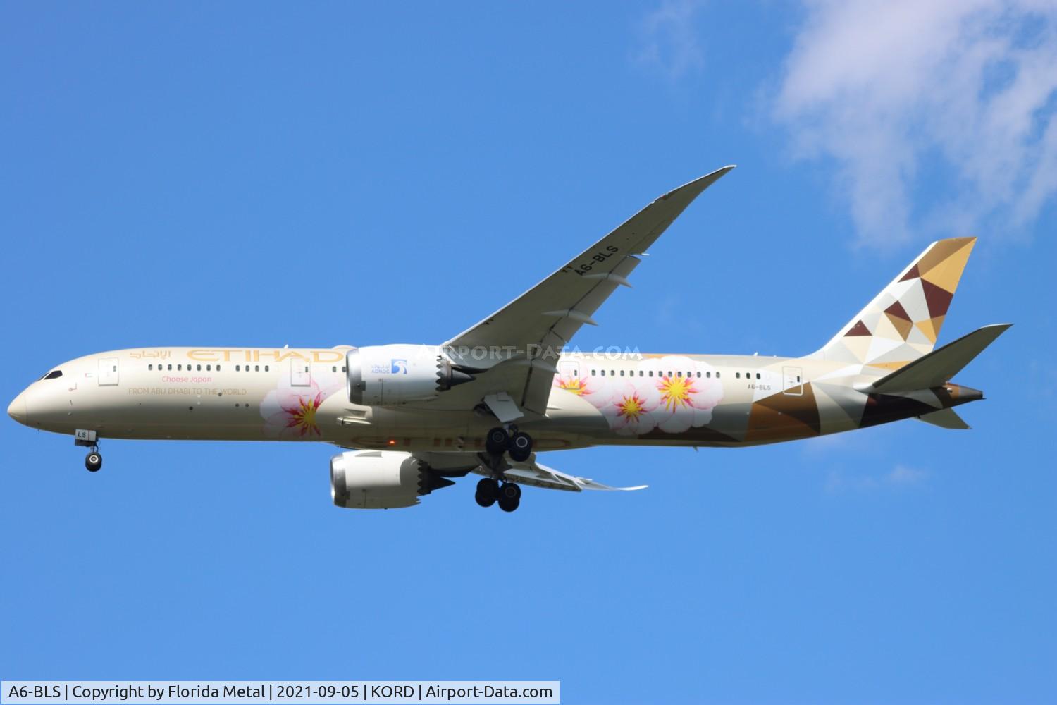 A6-BLS, 2017 Boeing 787-9 Dreamliner Dreamliner C/N 39664, KORD spotting 2021