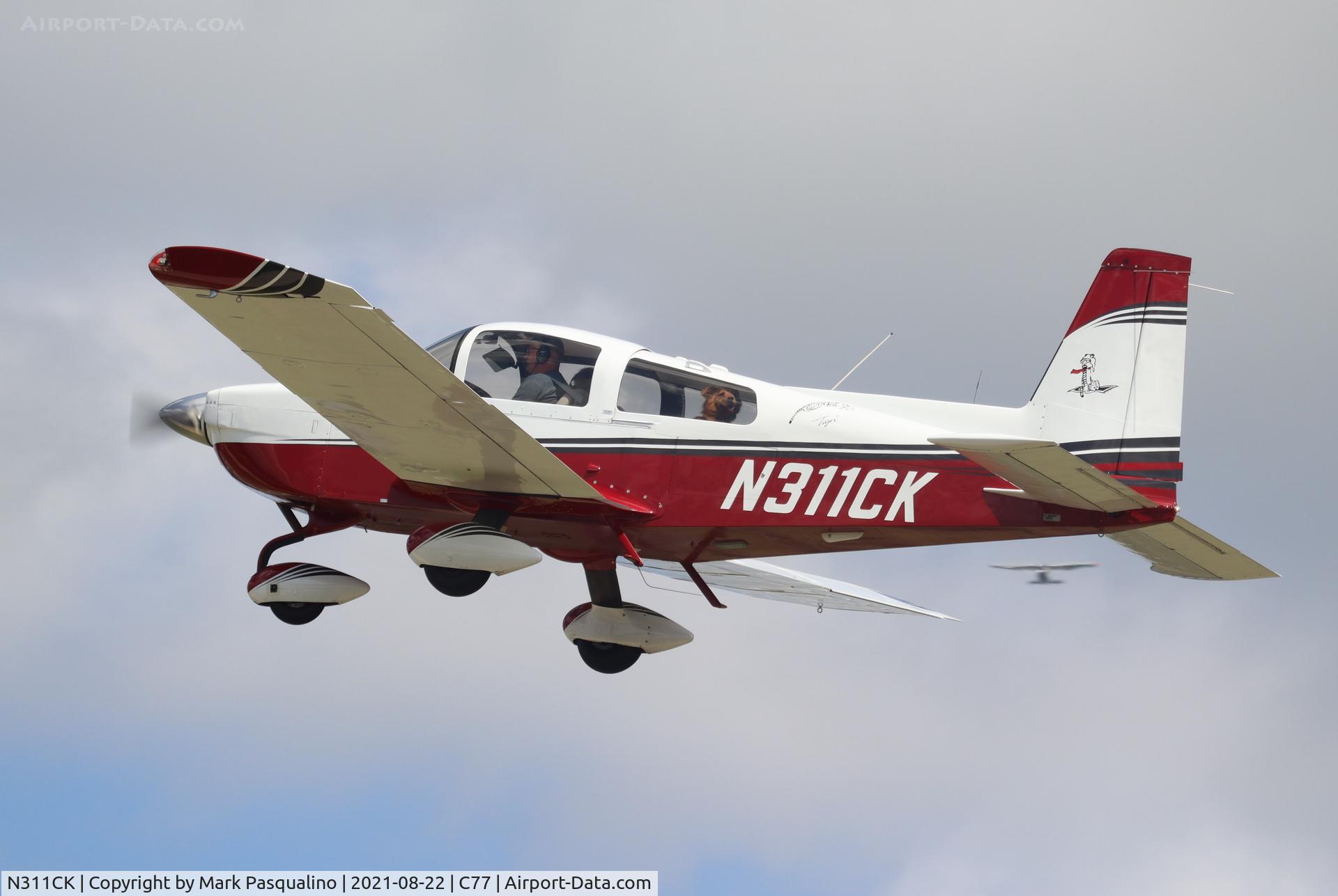 N311CK, 1977 Grumman American AA-5B Tiger C/N AA5B0591, Happy dog in back seat leaving Poplar Grove Fly In