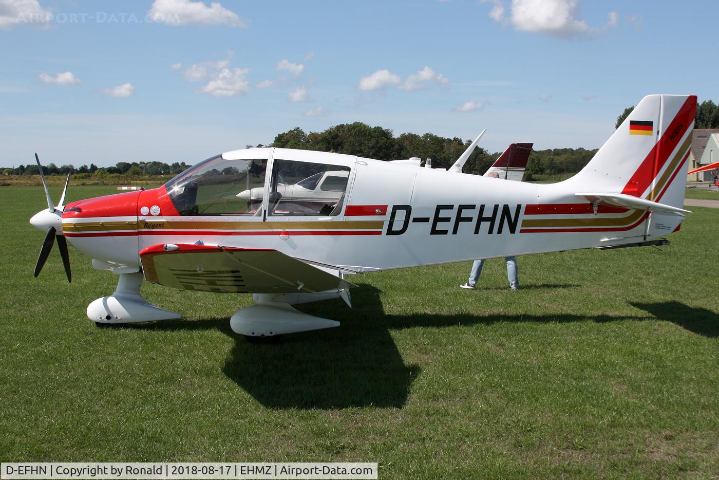D-EFHN, 1980 Robin DR-400-180 Regent Regent C/N 1512, at ehmz