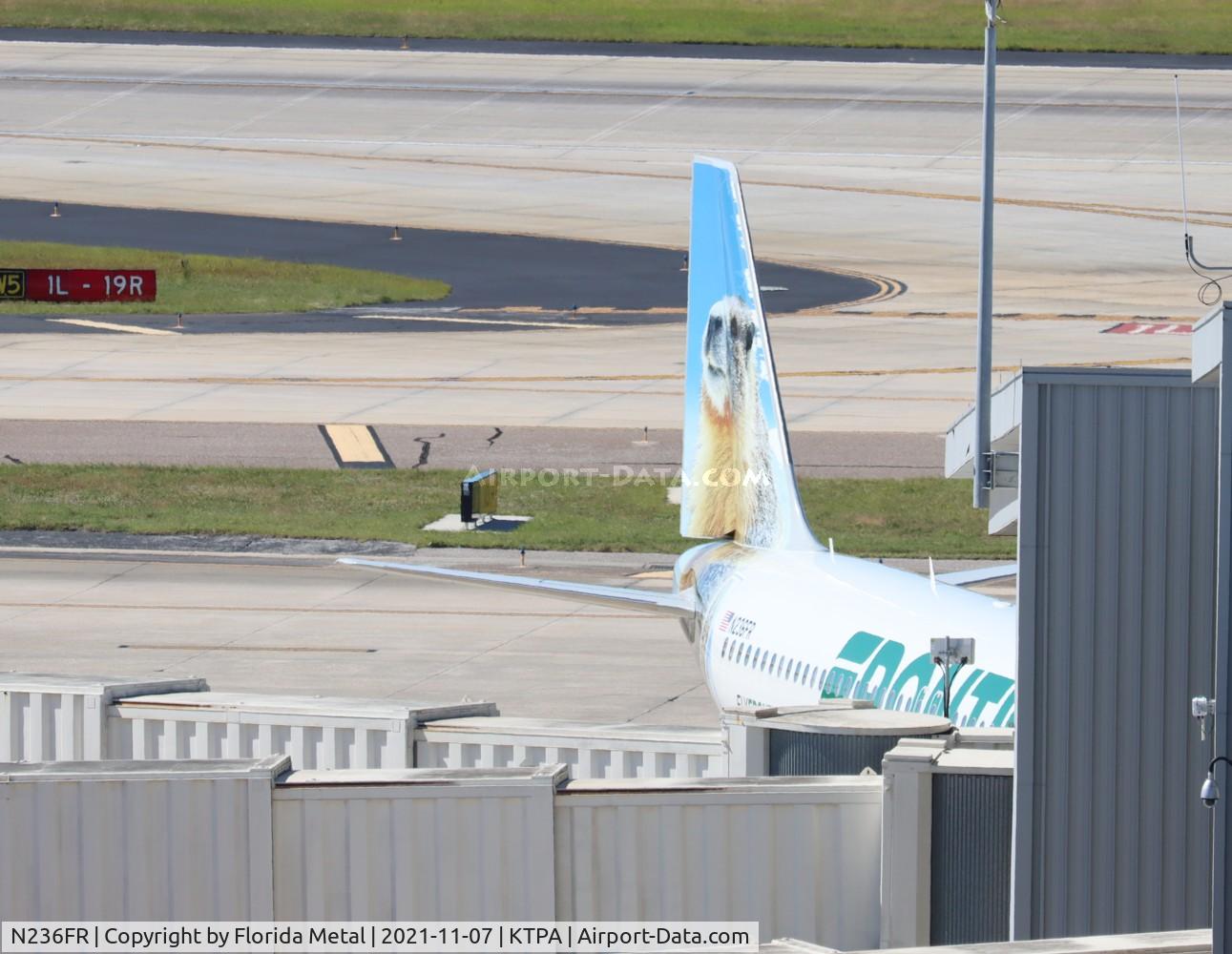 N236FR, 2016 Airbus A320-214 C/N 7389, TPA 2021
