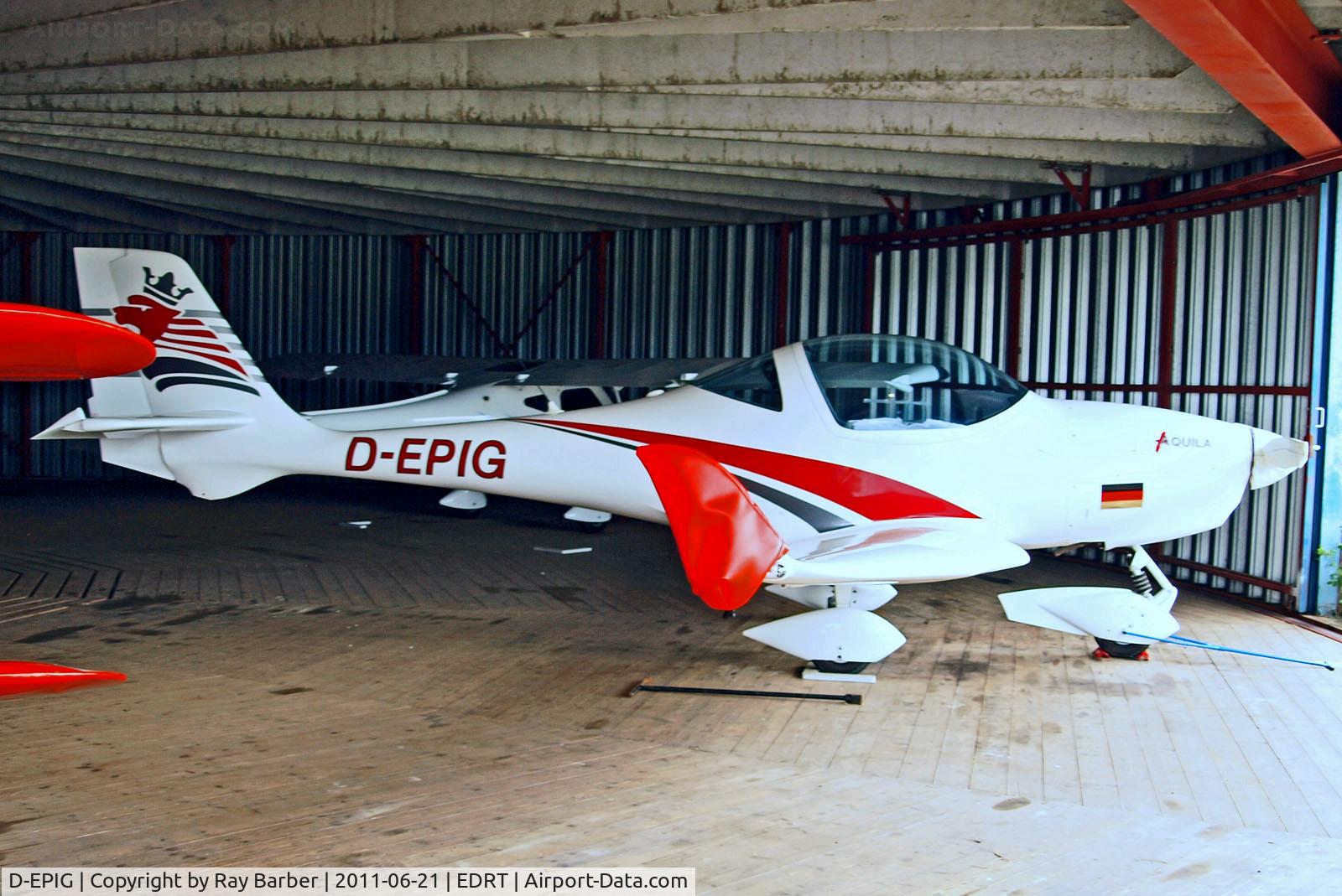D-EPIG, 2007 Aquila A210 C/N AT01-167, D-EPIG   Aquila  A.210 [AT01-167] Trier Fohren~D 21/06/2011