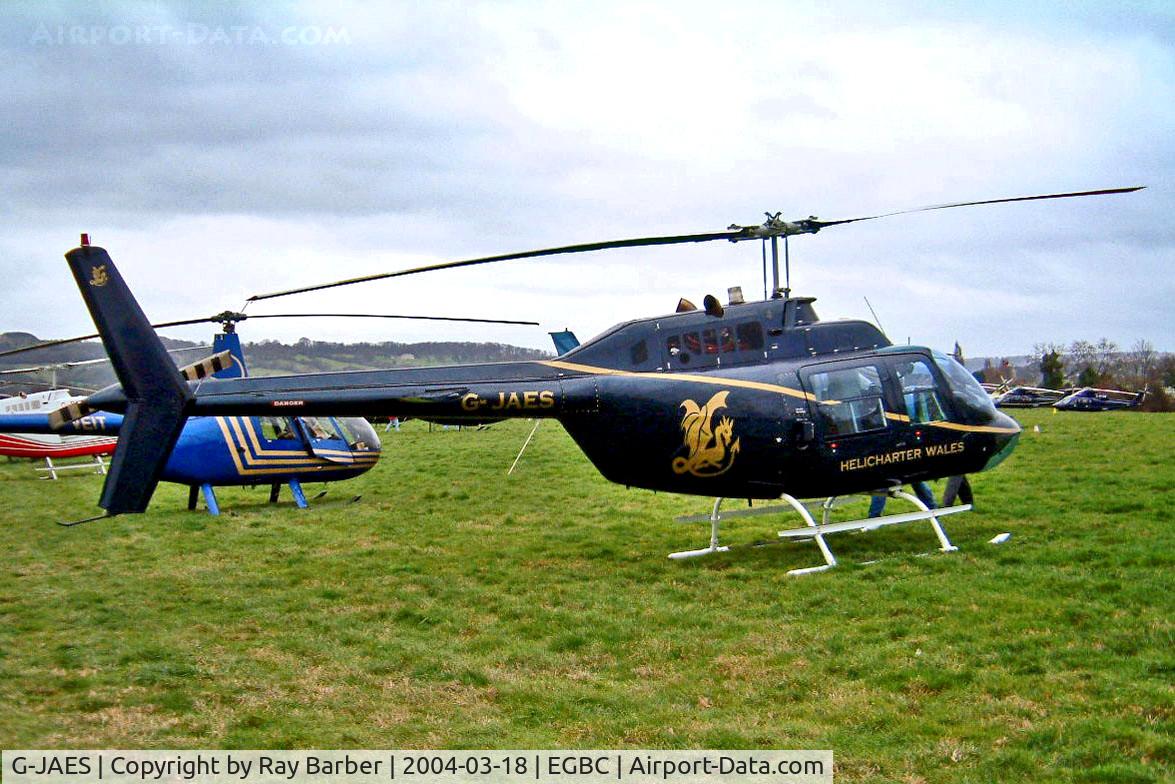 G-JAES, 1974 Bell 206B JetRanger III C/N 1513, G-JAES   Bell 206B Jet Ranger II [1513] (Helicharter Wales) Cheltenham Racecourse~G 18/03/2004