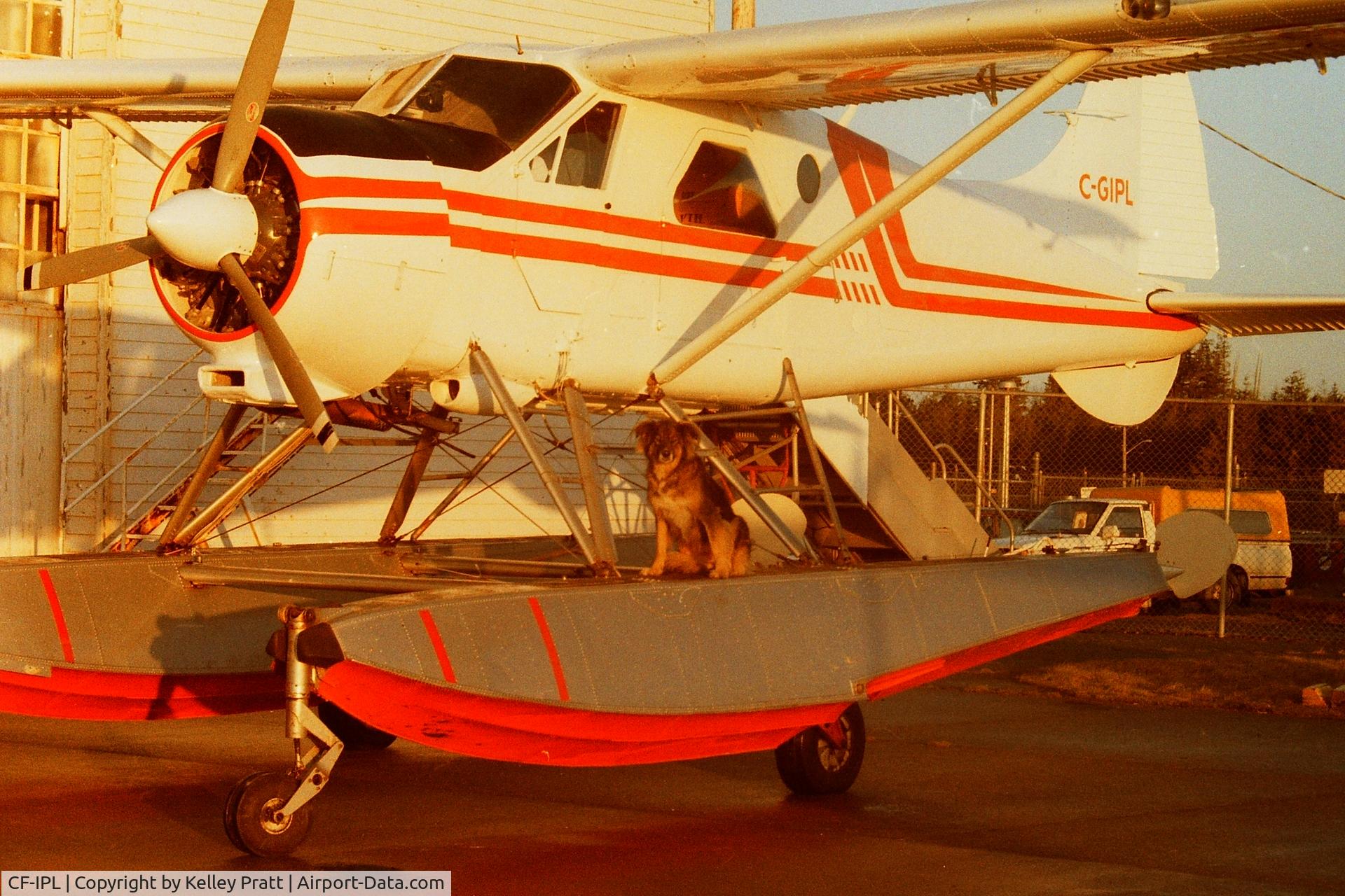 CF-IPL, 1951 De Havilland Canada DHC-2 C/N 132, This is a picture of CF-IPL early 1983- 85 Port Hardy BC Canada after a paint job and mods done. First day back on line.
Trying to find out what happened to it. IPL was the first DH2 I helped over hauled.