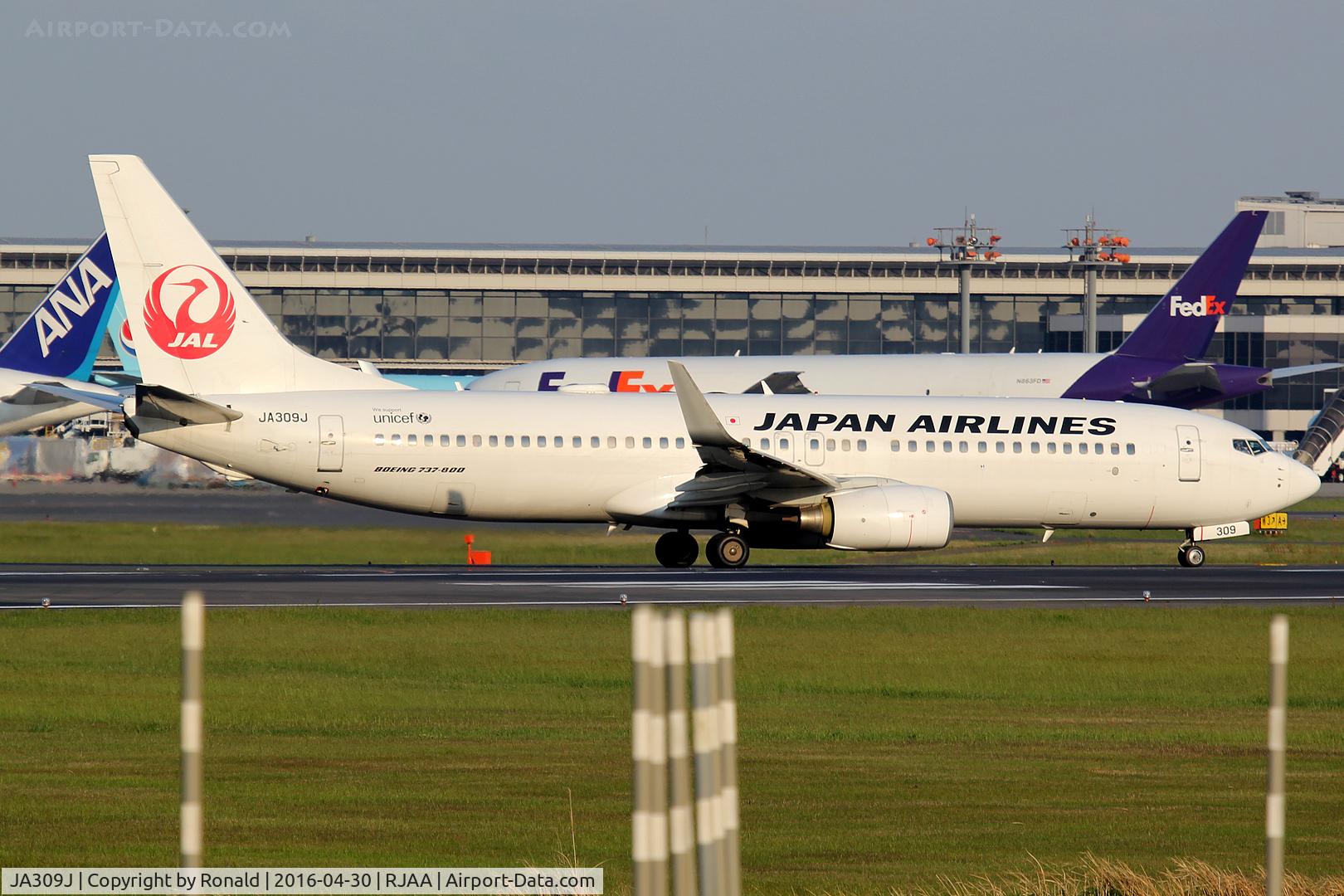 JA309J, 2008 Boeing 737-846 C/N 35338, at nrt