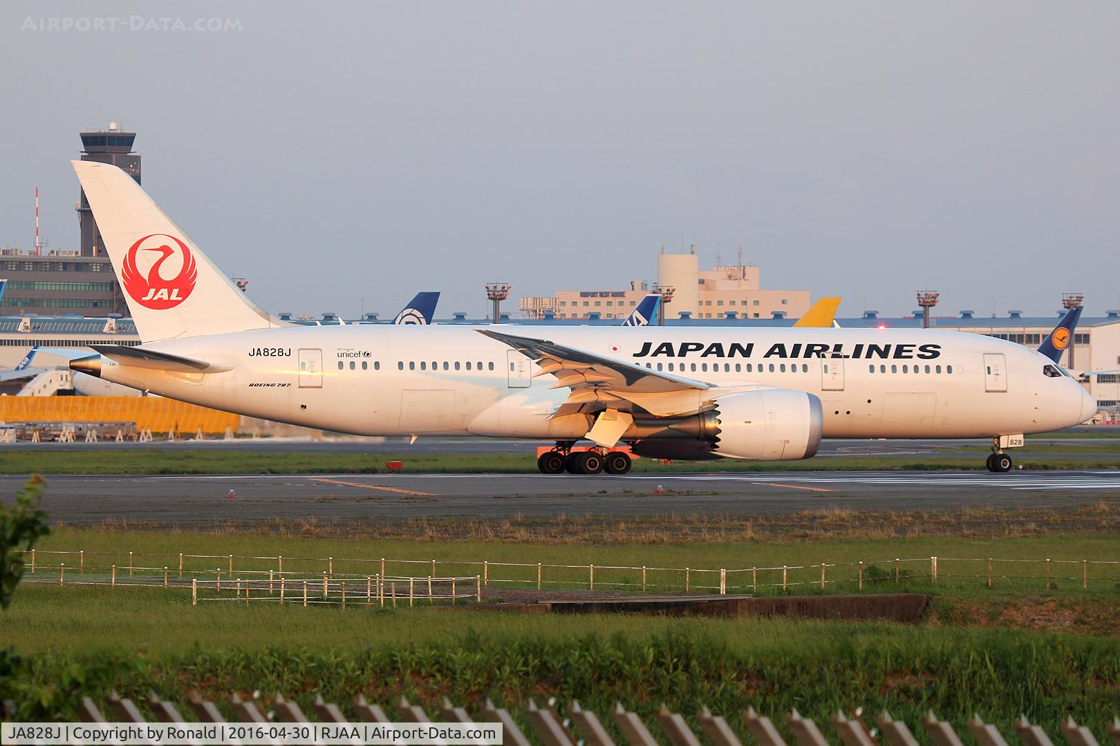 JA828J, 2012 Boeing 787-8 Dreamliner C/N 34838, at nrt