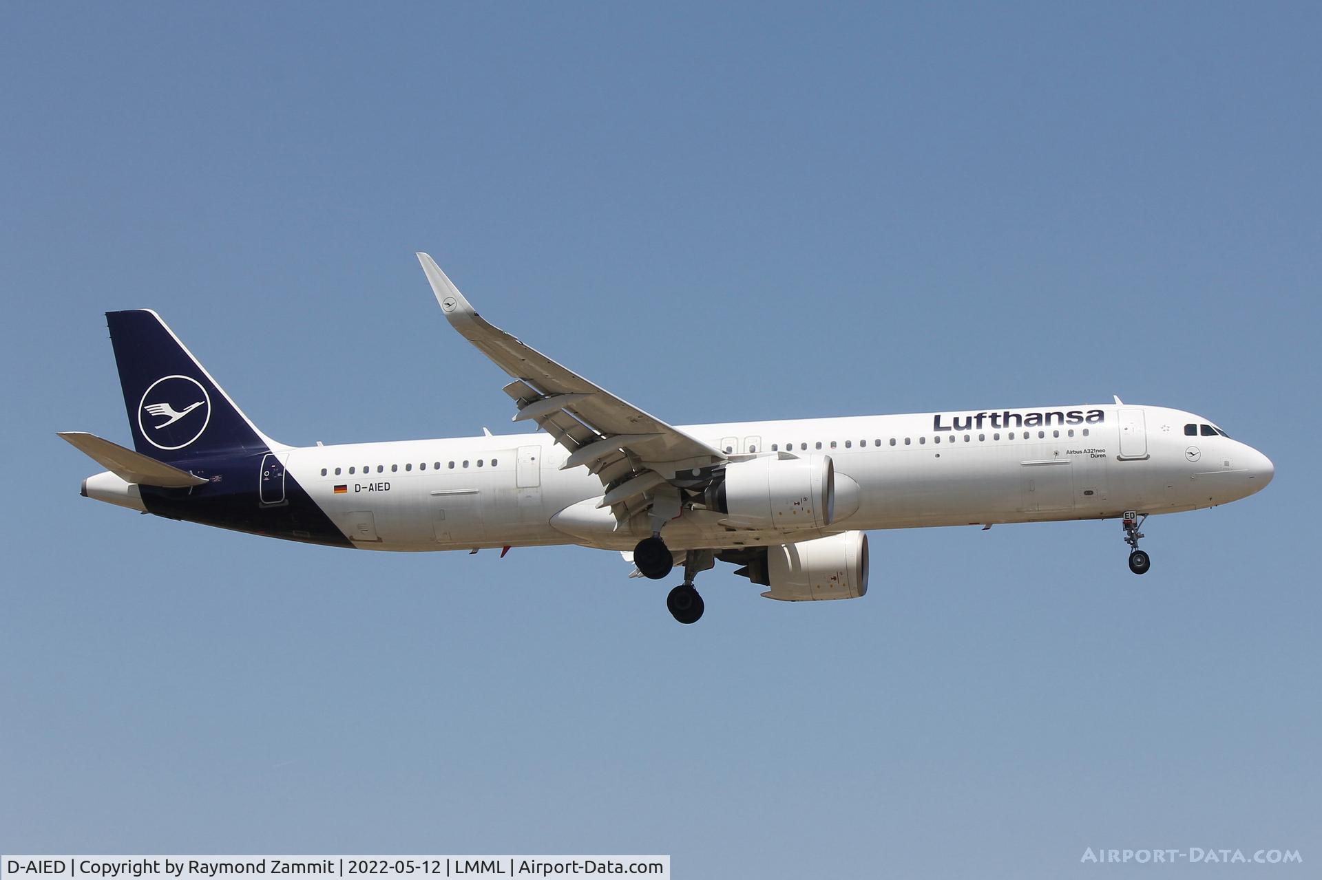 D-AIED, 2019 Airbus A321-271NX C/N 8958, A321 D-AIED Lufthansa