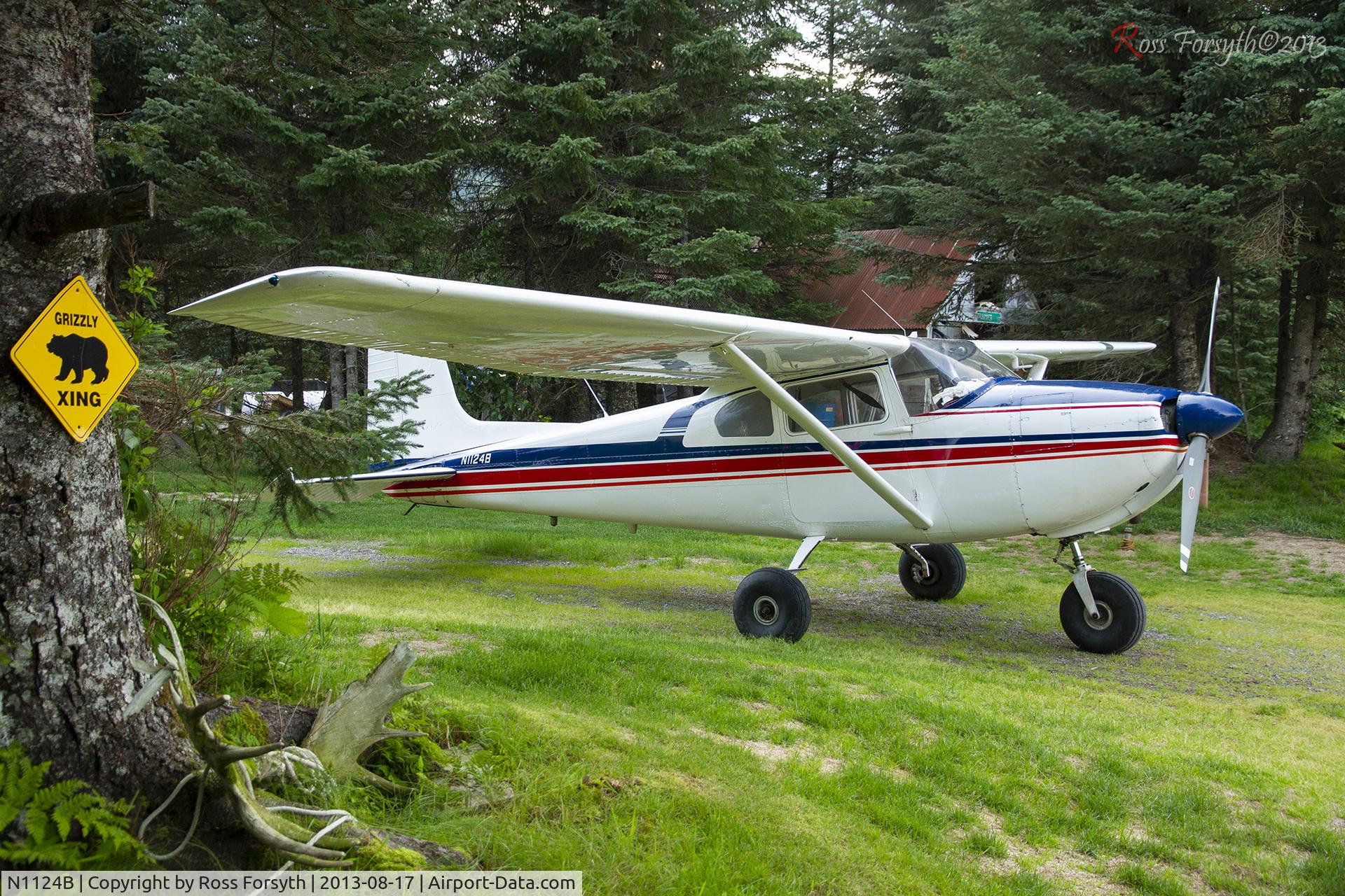 N1124B, 1957 Cessna 182A Skylane C/N 34259, Parked in the trees next to the Homestead Lodge at Silver Salmon Creek,Alaska in 2013