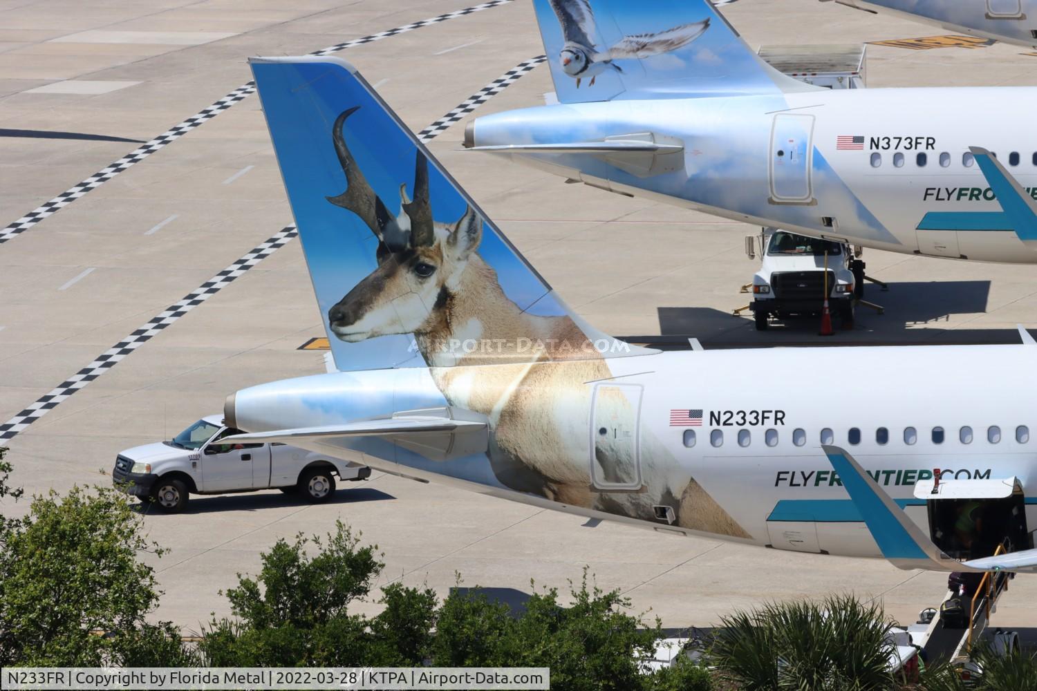 N233FR, 2016 Airbus A320-214 C/N 7095, Buck the Pronghorn