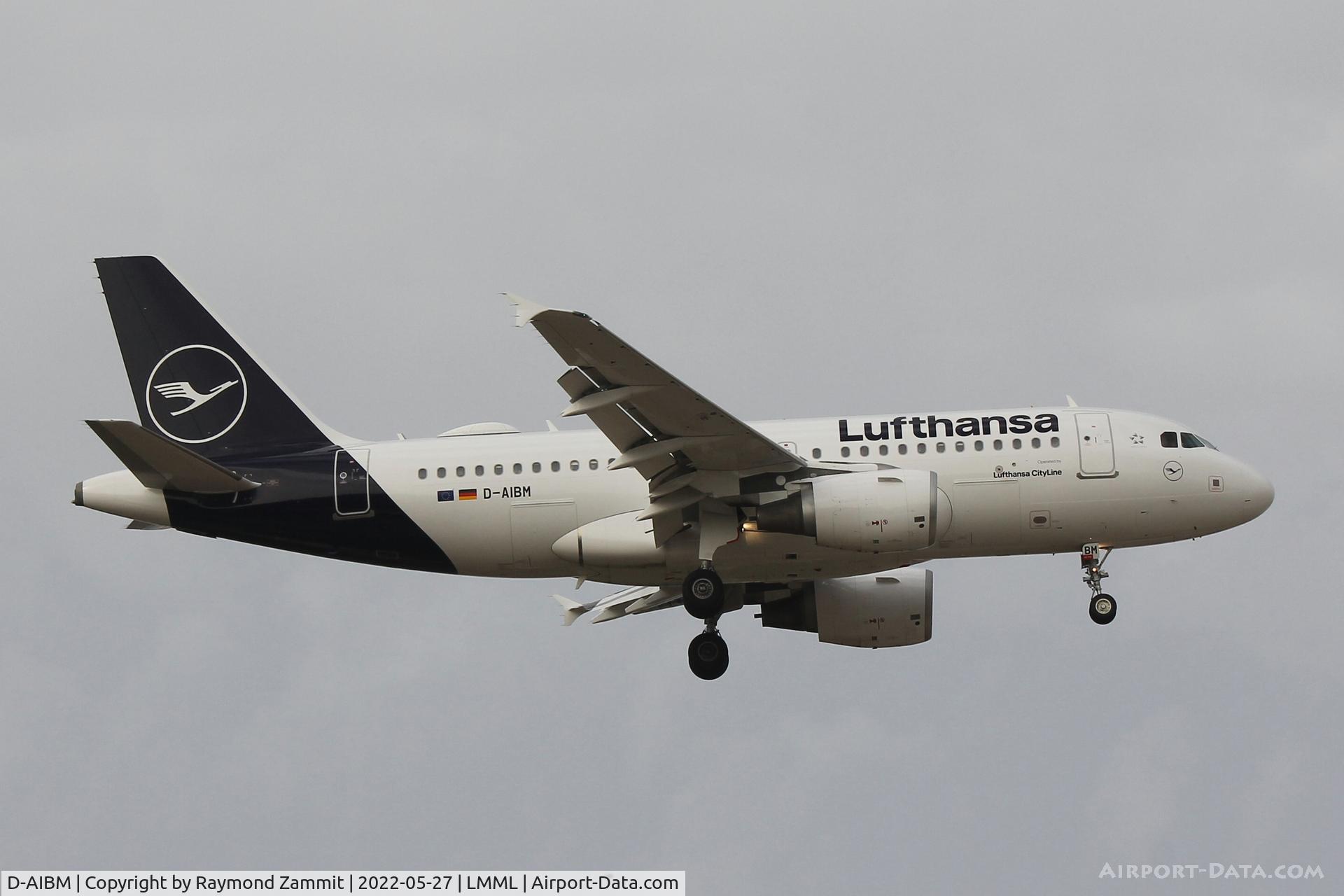D-AIBM, 2004 Airbus A319-112 C/N 2262, A319 D-AIBM Lufthansa