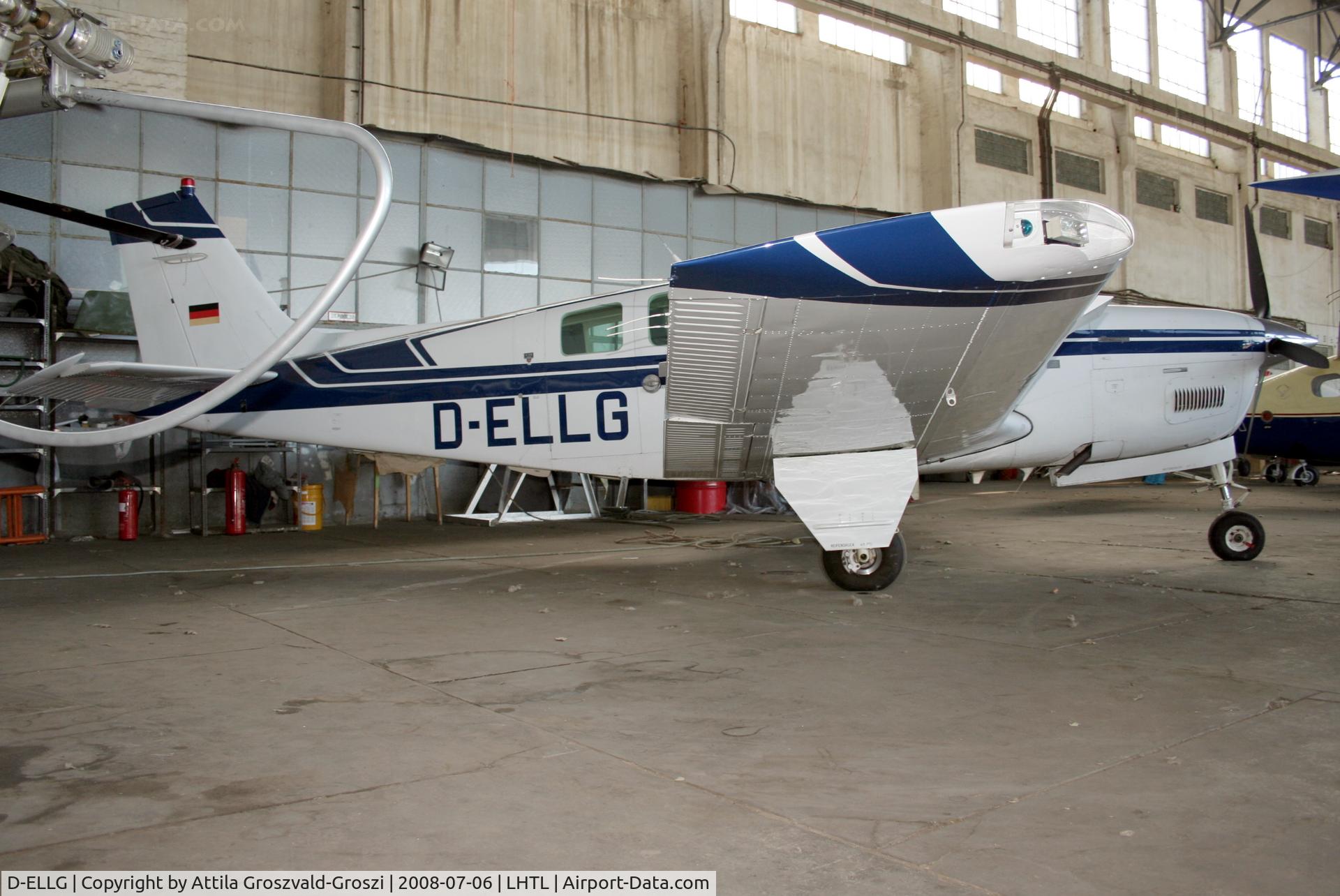 D-ELLG, 1988 Beech A36 Bonanza 36 C/N E-2423, LHTL - Tököl Airport, Hungary