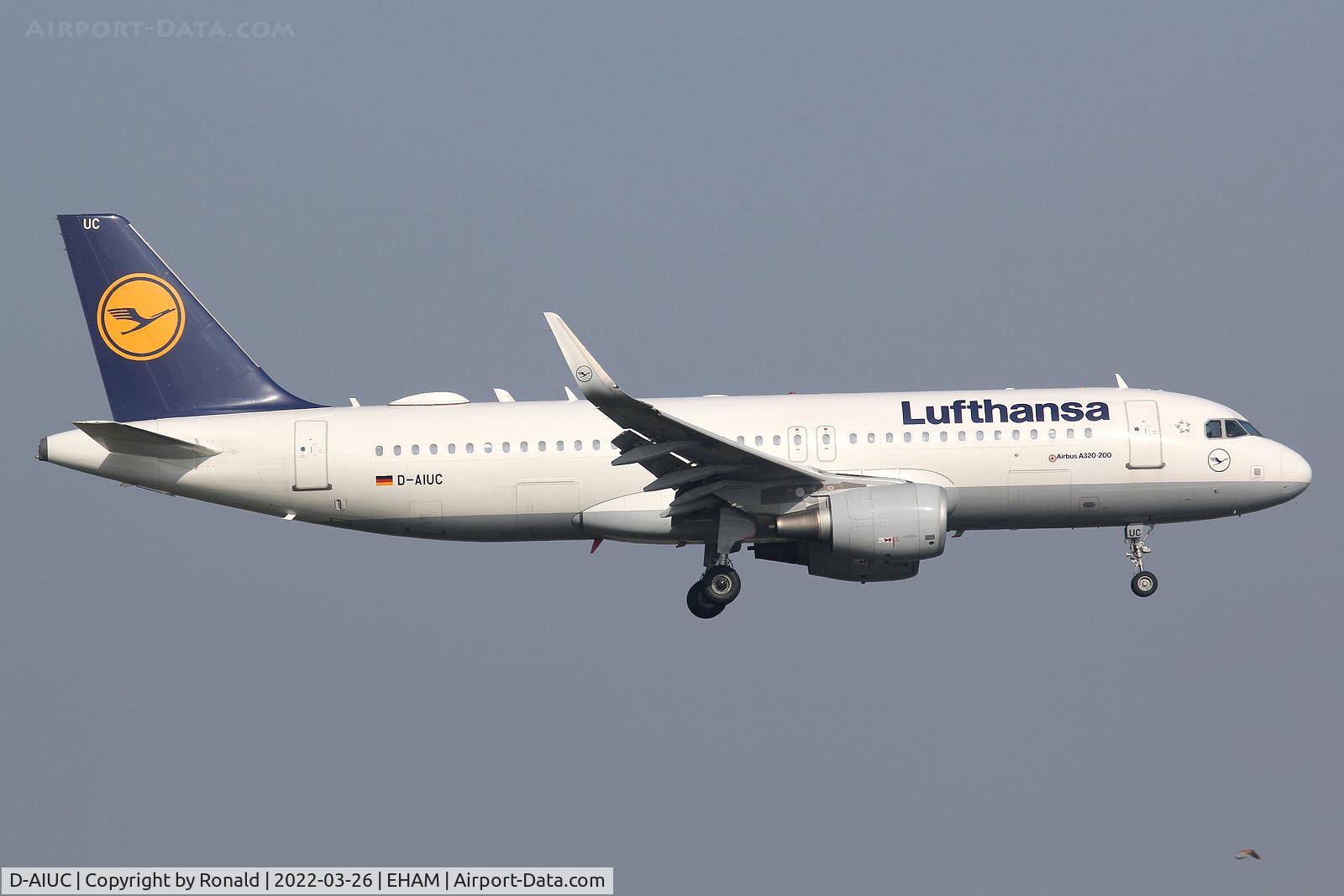 D-AIUC, 2014 Airbus A320-214 C/N 6006, at spl