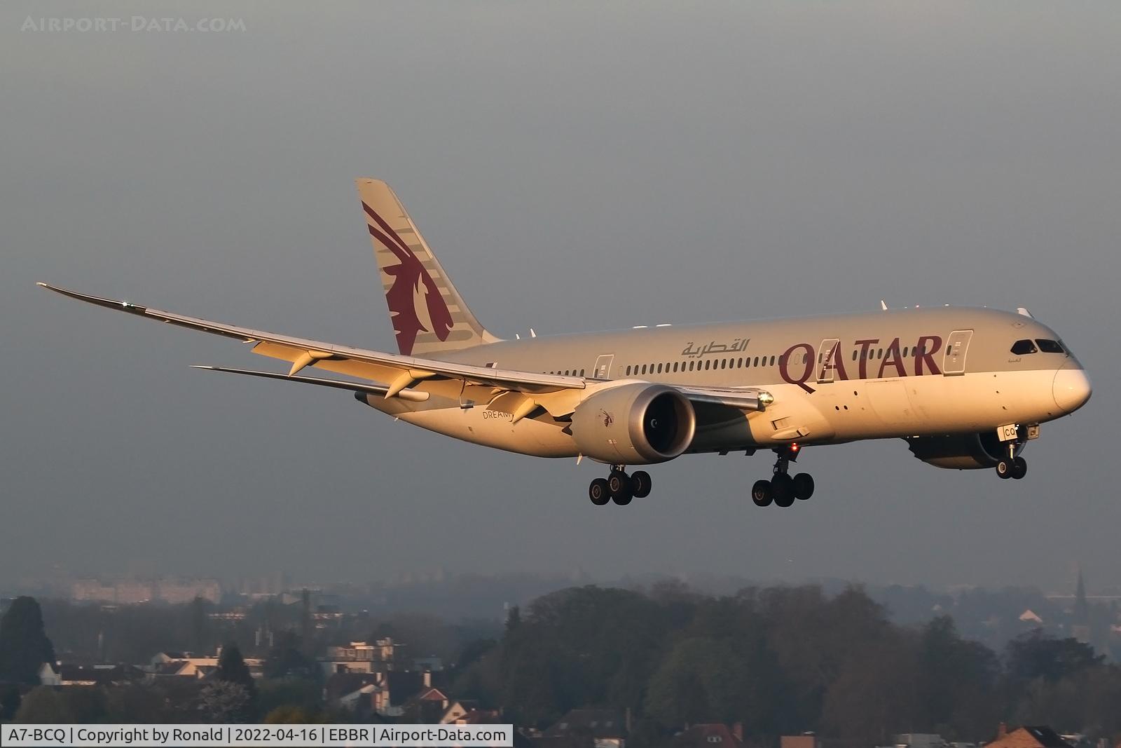 A7-BCQ, 2014 Boeing 787-8 Dreamliner C/N 38335, at bru