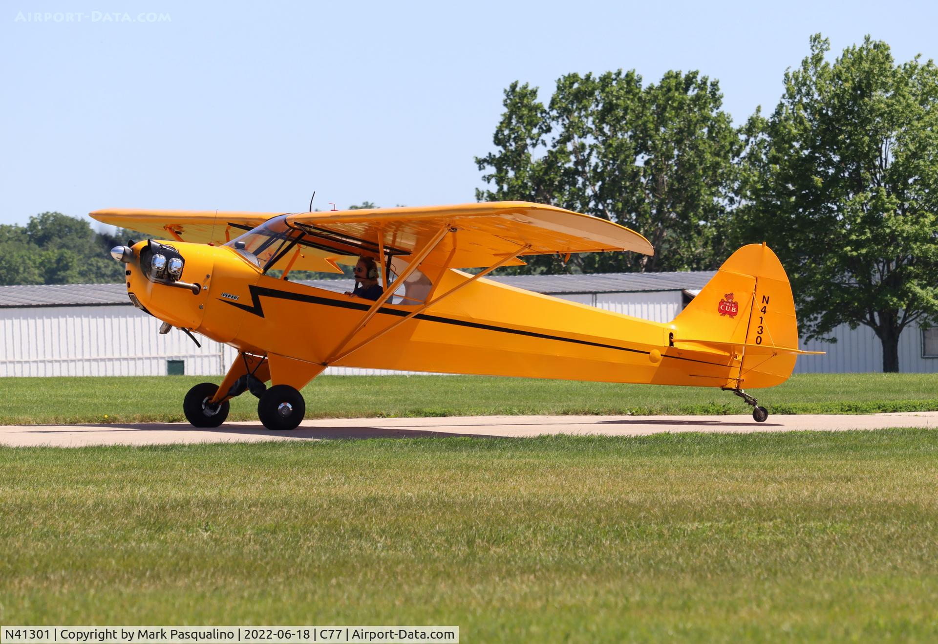 N41301, 1941 Piper J-3C Cub C/N 7955, Piper J3C-65