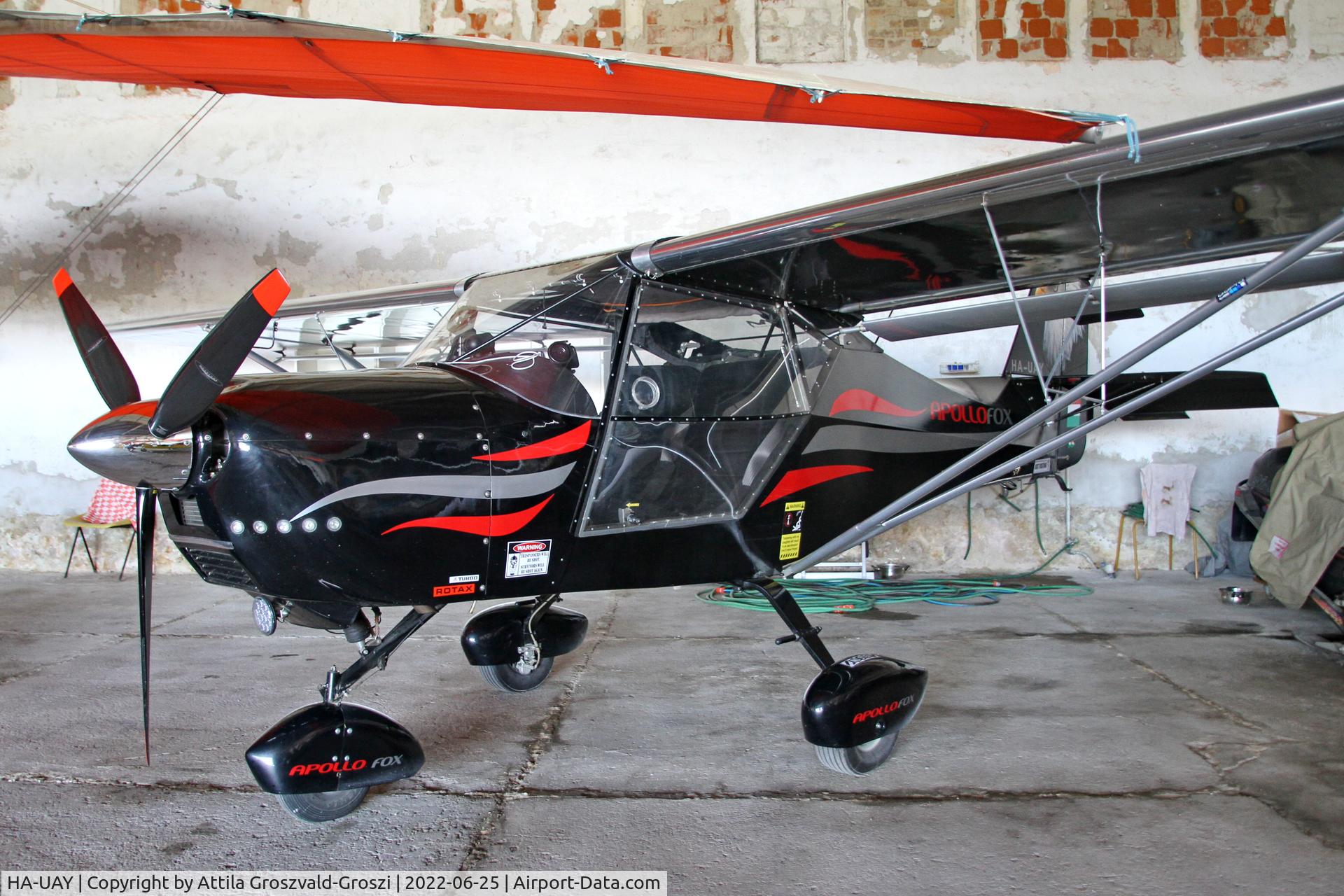 HA-UAY, 2012 Halley Apollo Fox C/N 150112, Balatonfökajár Airport, Hungary