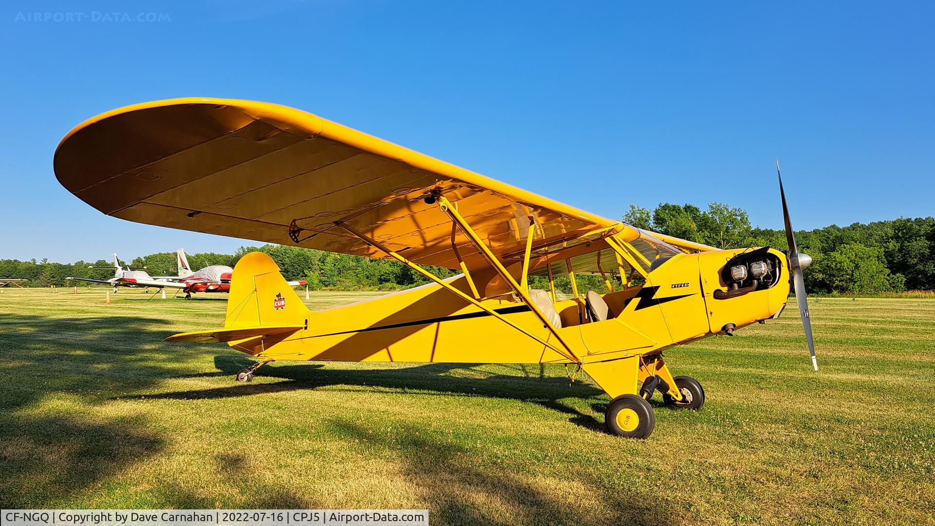 CF-NGQ, 1945 Piper J3C-65 Cub Cub C/N 14816, 1945 Piper J3 Cub on grass at Stirling airport, Ontario, Canada