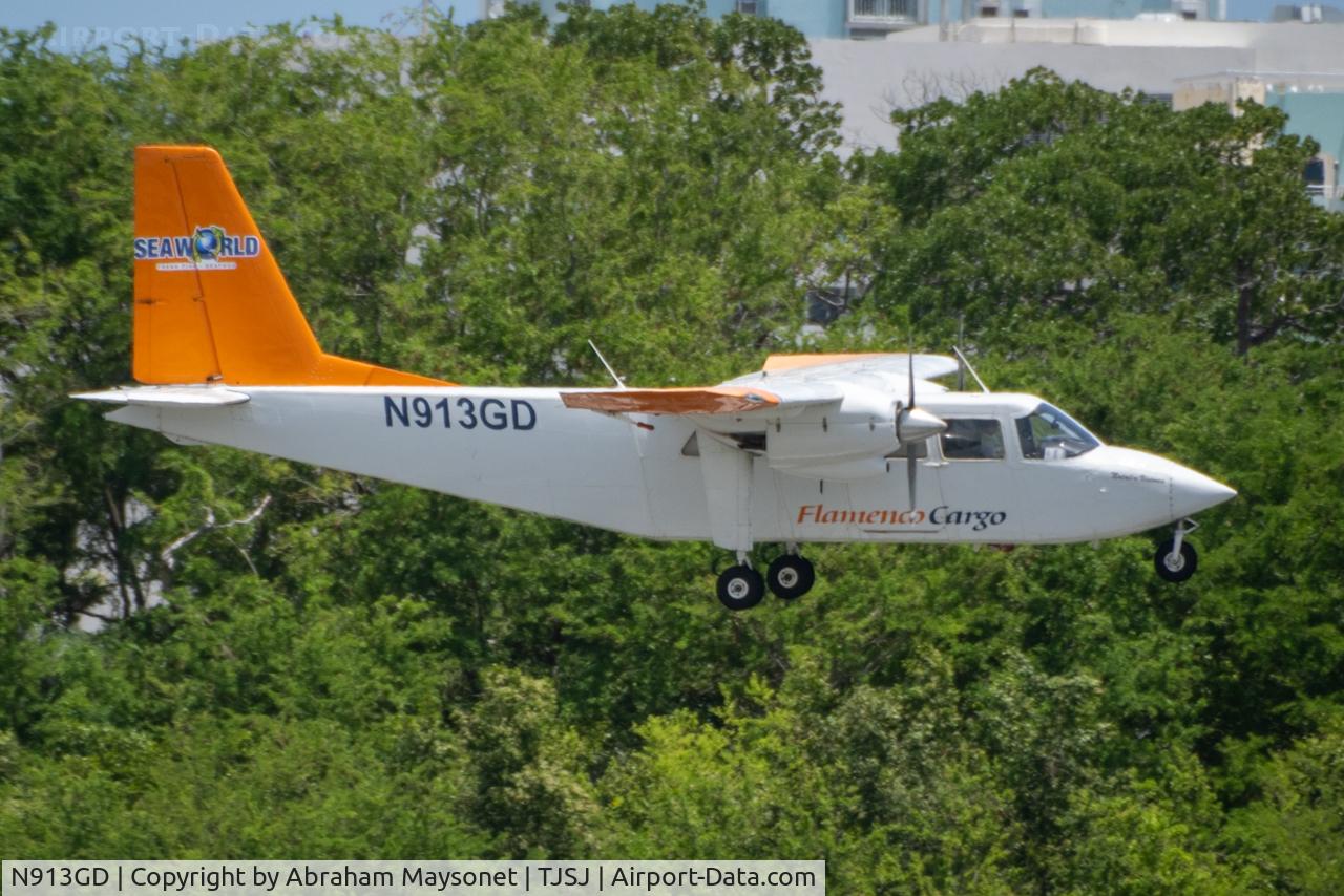 N913GD, Britten-Norman BN-2A-6 Islander C/N 198, New aircraft picture