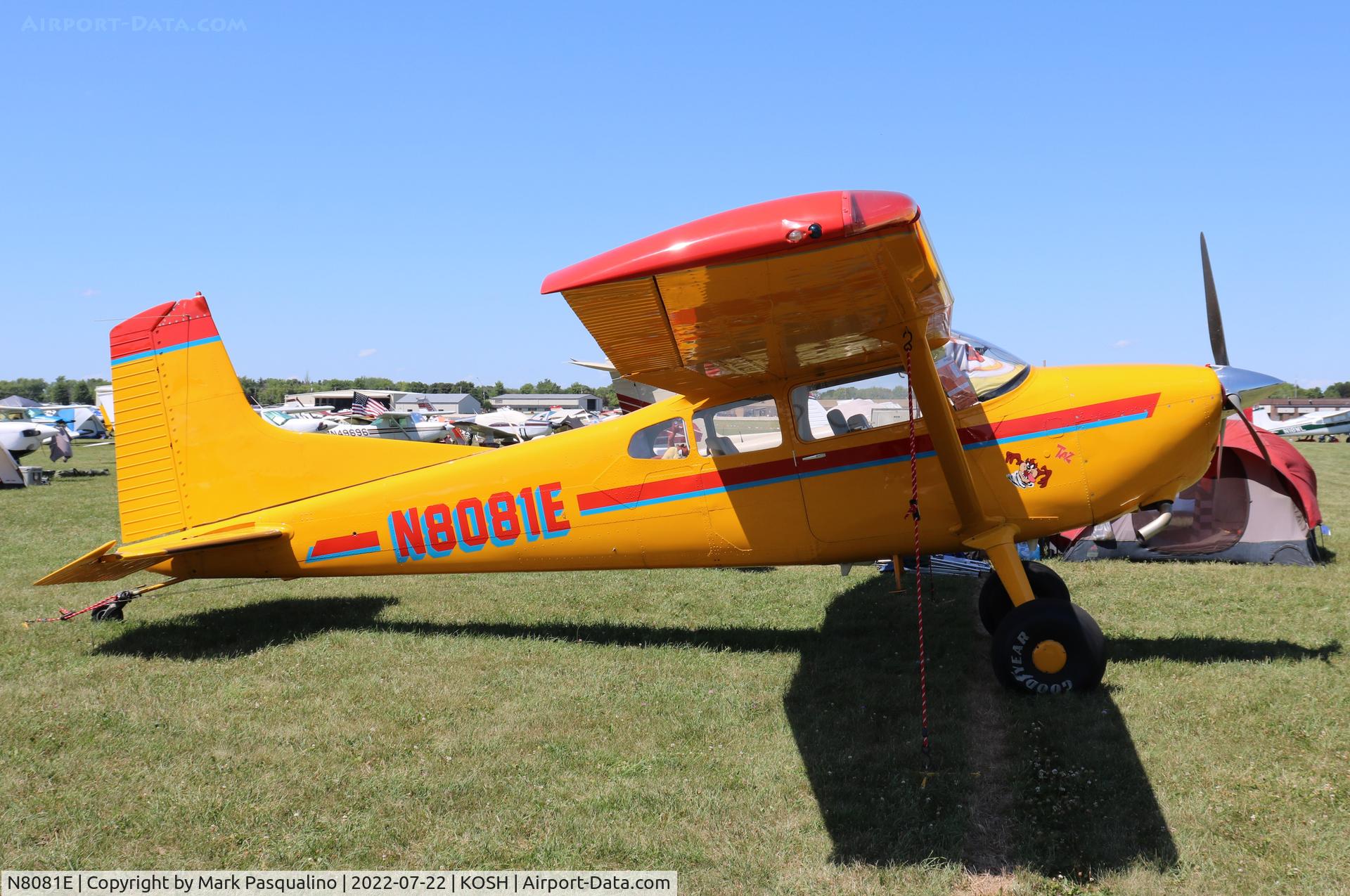 N8081E, 1974 Cessna A185F Skywagon 185 C/N 18502329, Cessna A185F