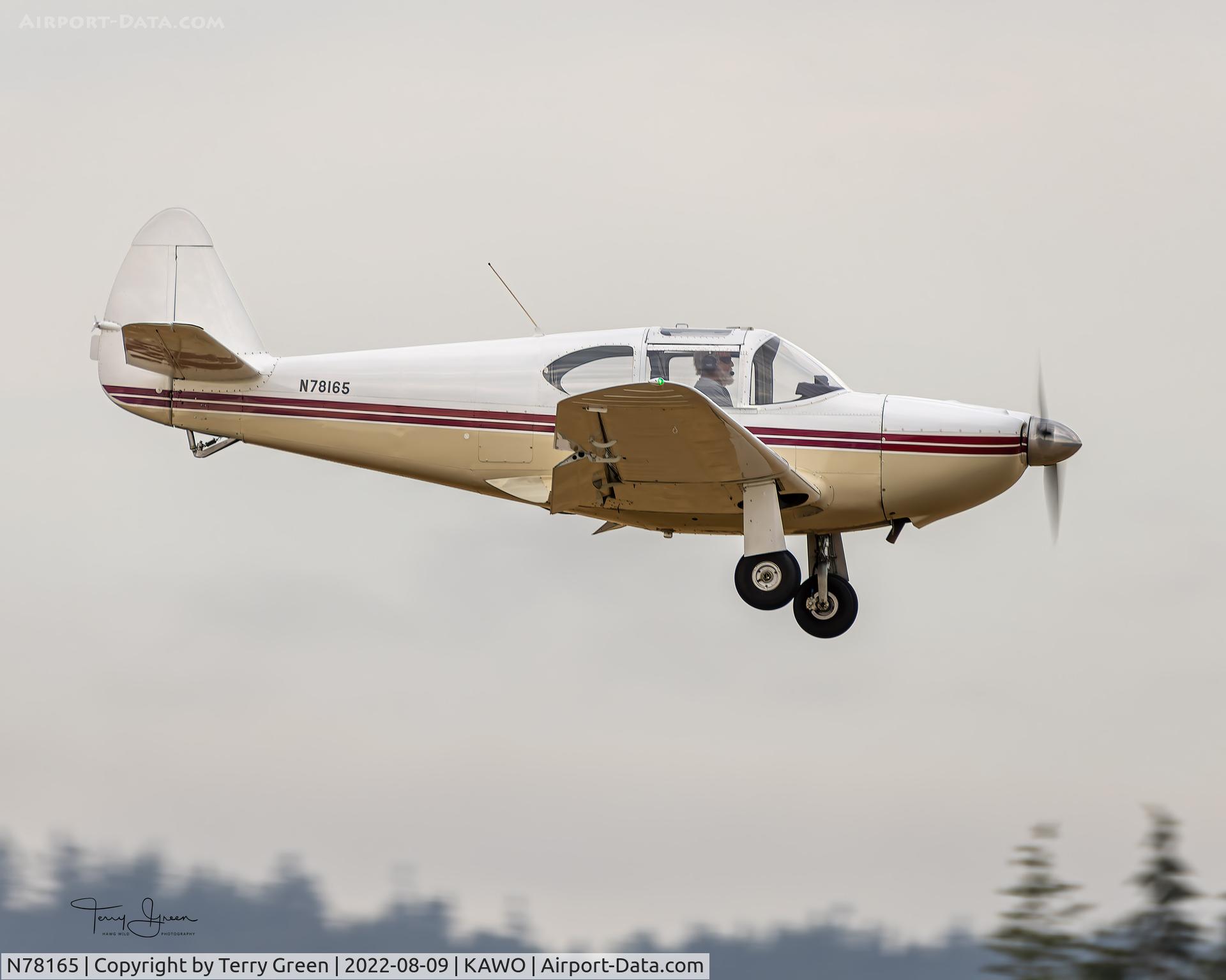 N78165, 1946 Globe GC-1B Swift C/N 2165, KAWO