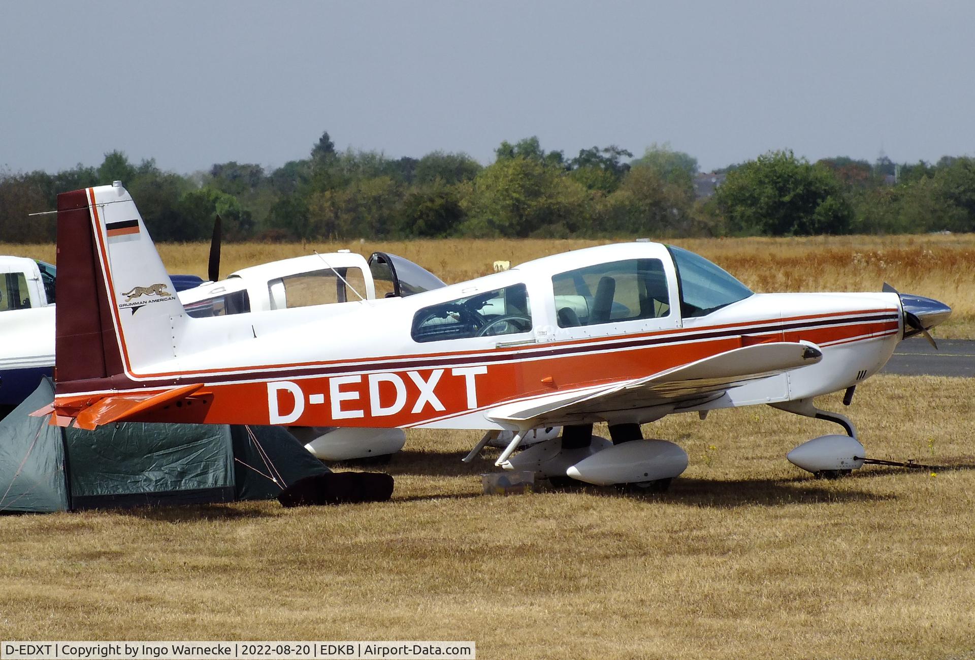 D-EDXT, 1975 Grumman American AA-5A Cheetah C/N AA5A-0085, Grumman American AA-5A Cheetah at the 2022 Grumman Fly-in at Bonn-Hangelar airfield