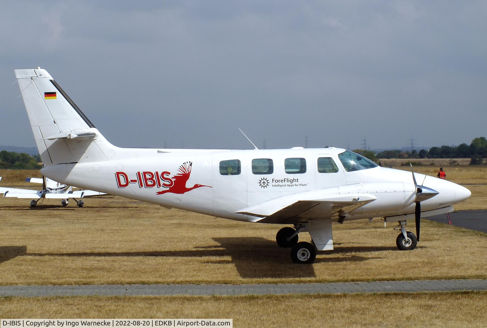 D-IBIS, 1981 Cessna T303 Crusader C/N T30300024, Cessna T303 Crusader at Bonn-Hangelar airfield during the Grumman Fly-in 2022