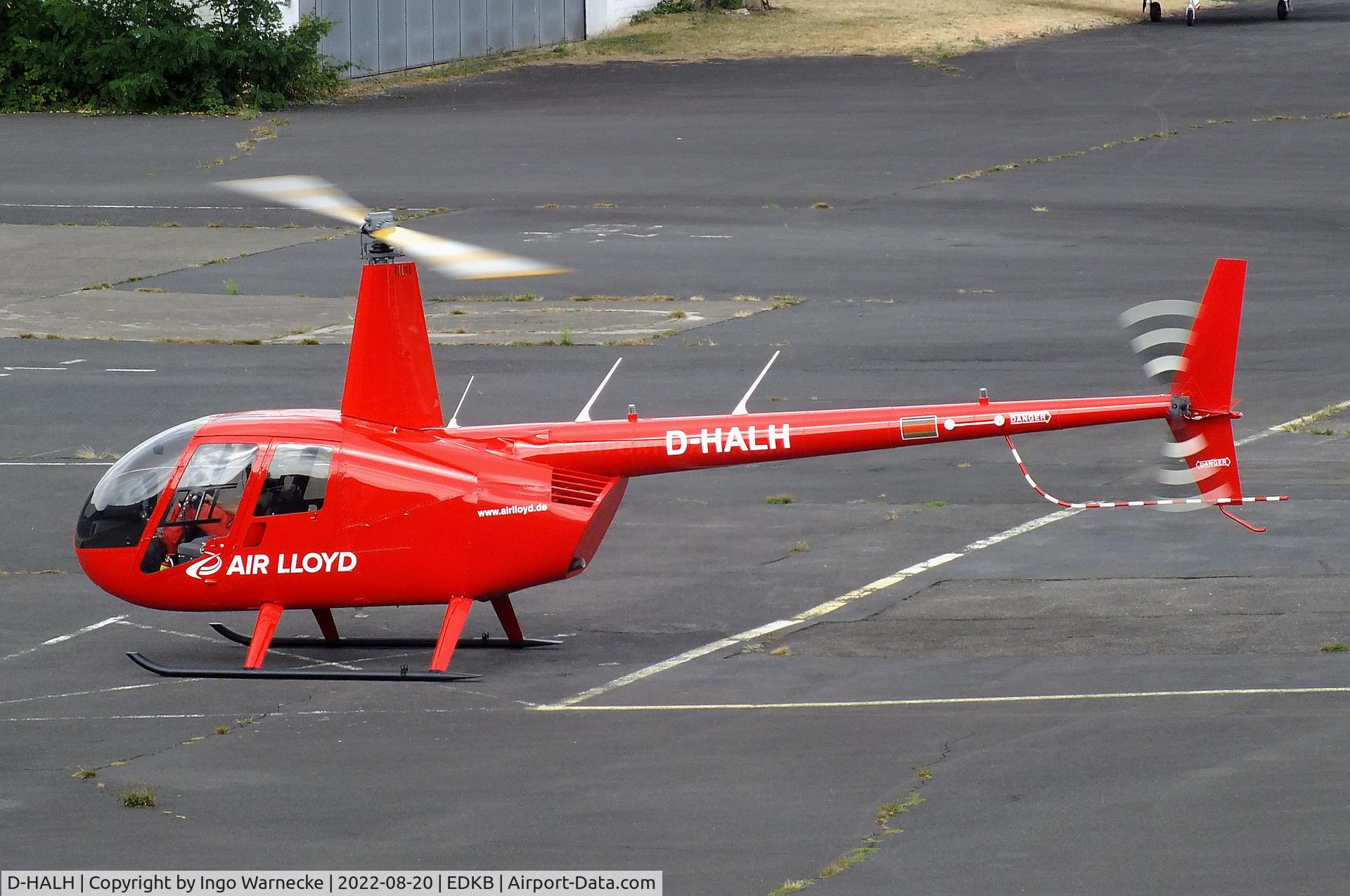 D-HALH, 2005 Robinson R44  Raven II C/N 10937, Robinson R44 Raven II of Air Lloyd at Bonn-Hangelar airfield during the Grumman Fly-in 2022