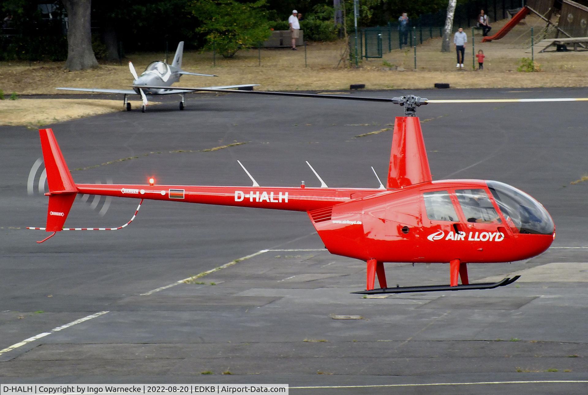 D-HALH, 2005 Robinson R44  Raven II C/N 10937, Robinson R44 Raven II of Air Lloyd at Bonn-Hangelar airfield during the Grumman Fly-in 2022