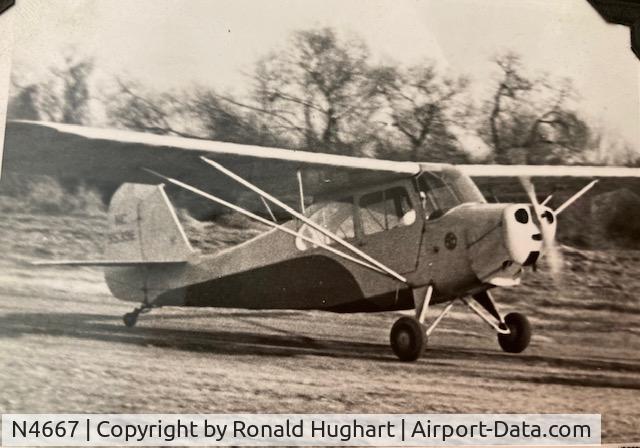 N4667, 1947 Piper PA-11 Cub Special Cub Special C/N Not Given, Taken in the 1940's by my dad.