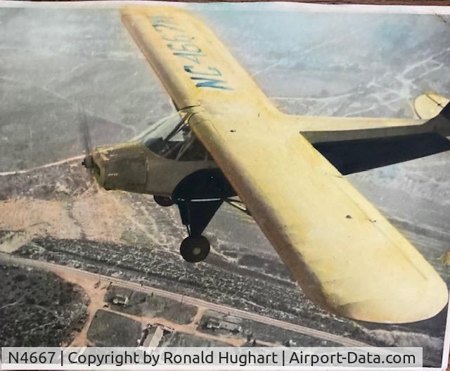 N4667, 1947 Piper PA-11 Cub Special Cub Special C/N Not Given, Hand colored photo of the SCORPION TOO that my dad drew. 1940's
