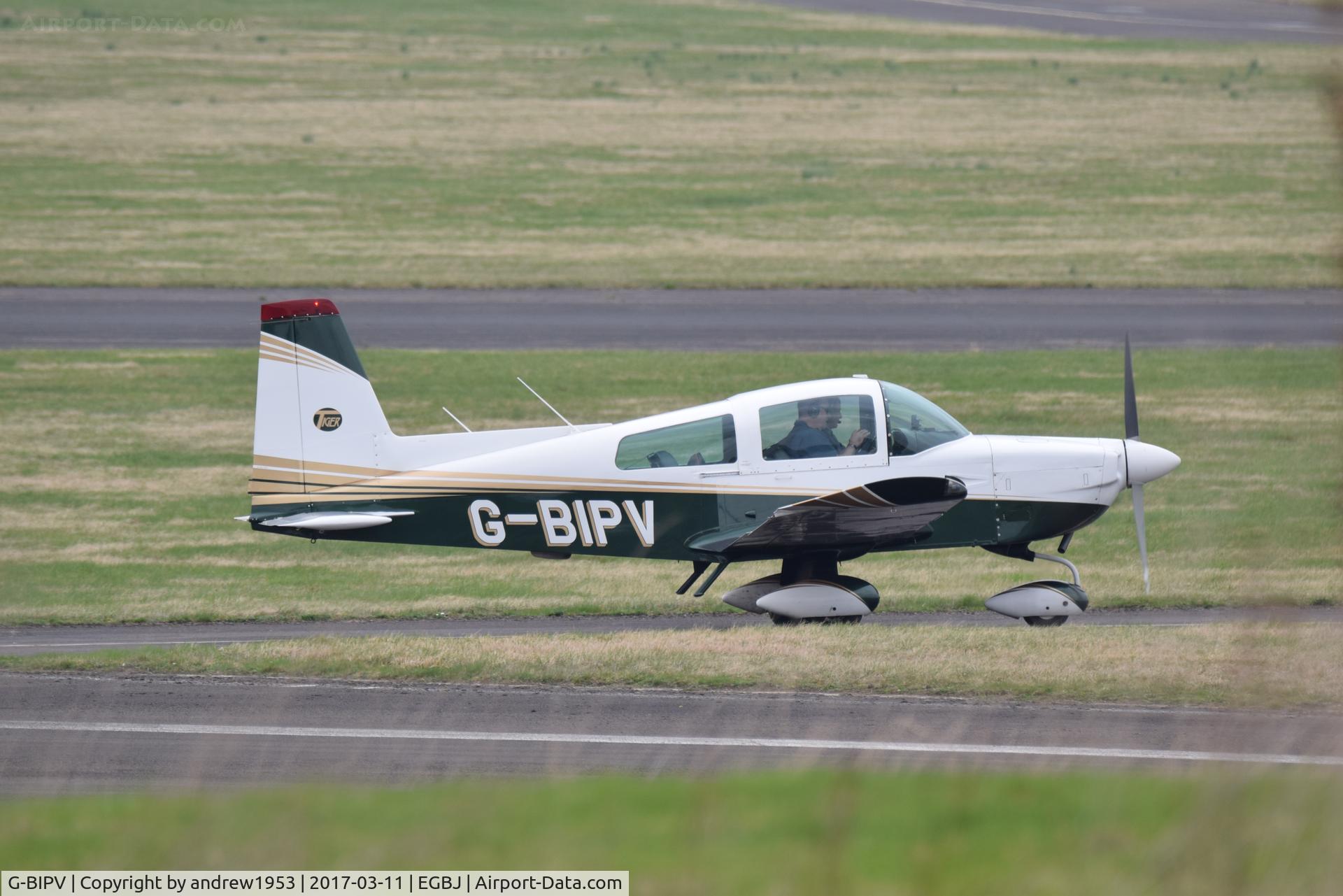 G-BIPV, 1979 Gulfstream American AA-5B Tiger C/N AA5B-0981, G-BIPV at Gloucestershire Airport.