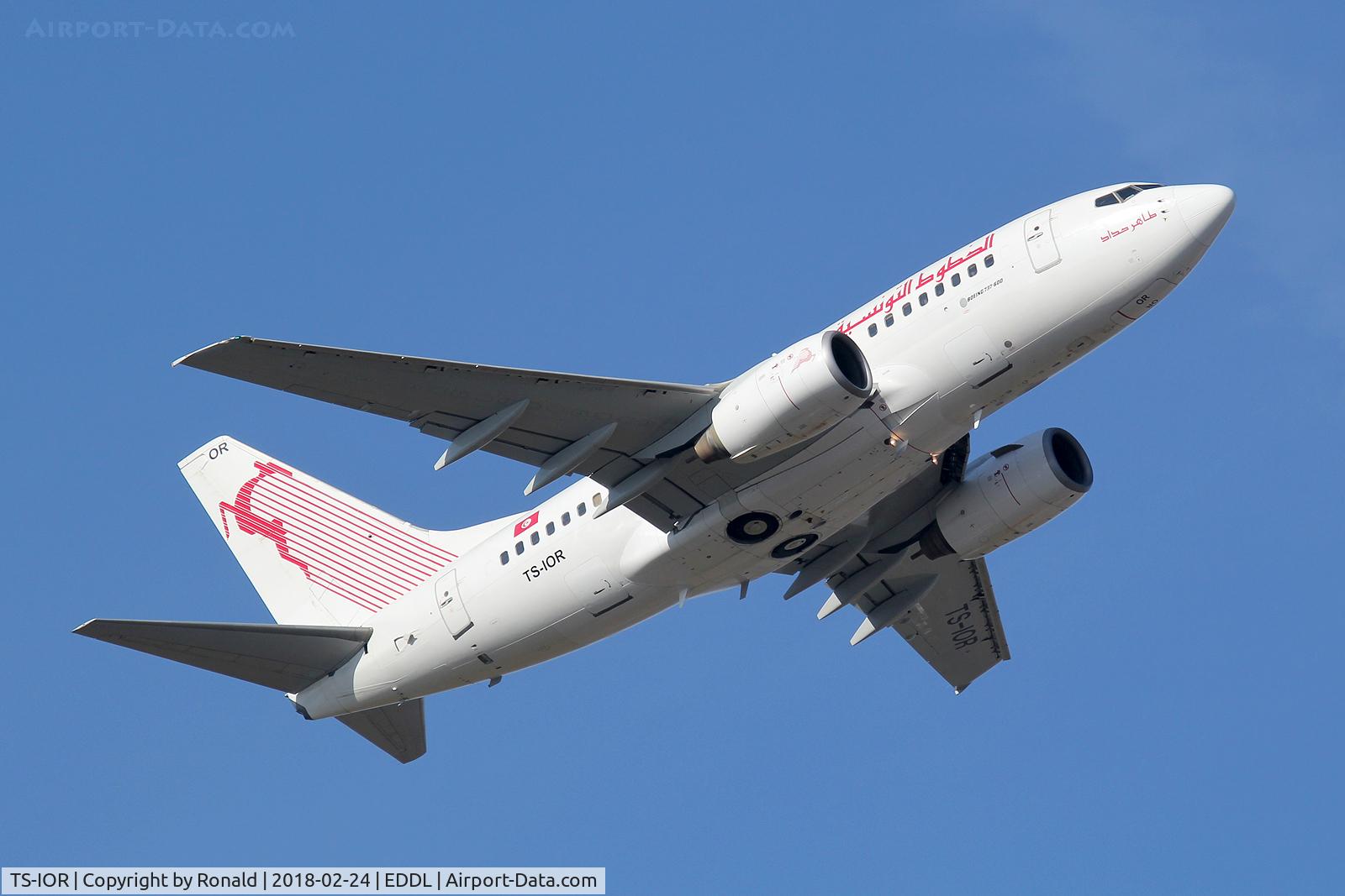 TS-IOR, 2001 Boeing 737-6H3 C/N 29502, at dus