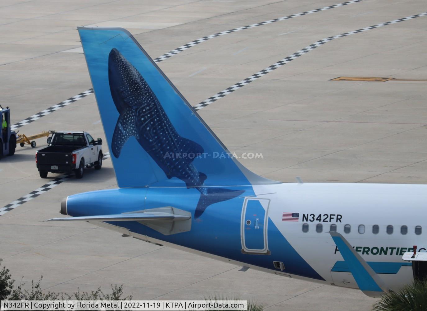 N342FR, 2018 Airbus A320-251N C/N 8537, Baja the Whale Shark