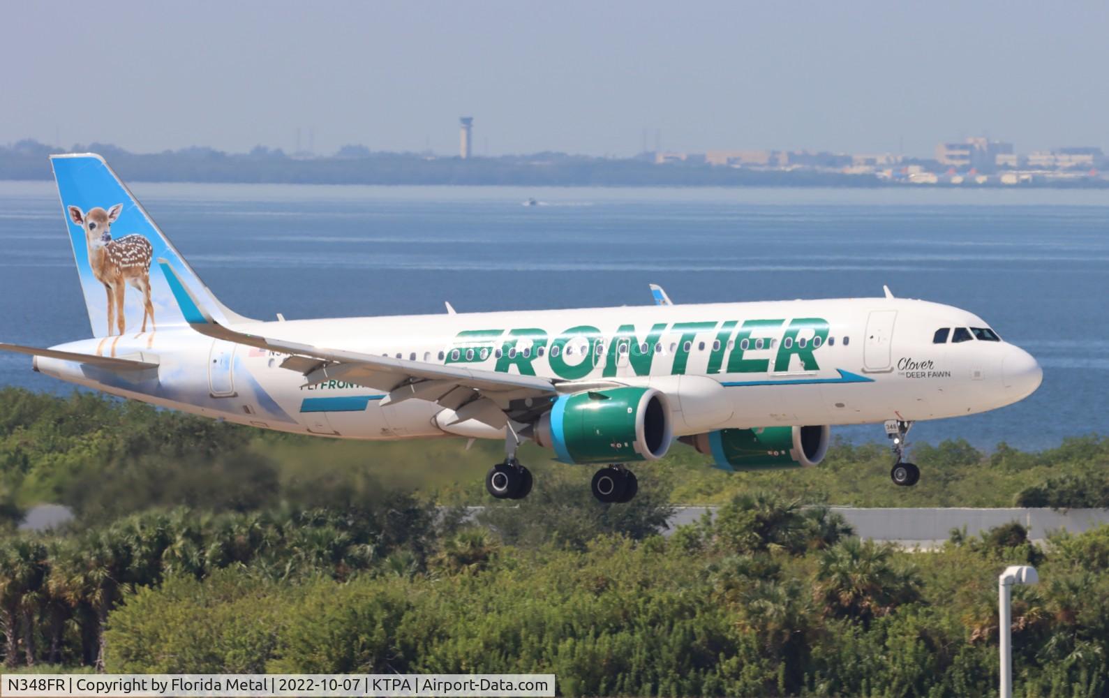 N348FR, 2019 Airbus A320-251N C/N 8954, Clover the Deer Fawn