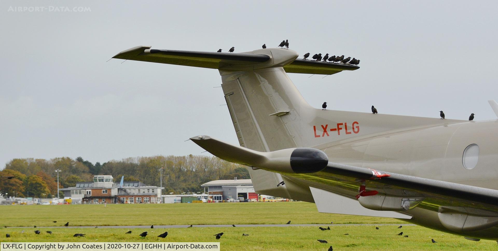 LX-FLG, 2019 Pilatus PC-12/47E C/N 1912, What bird problem
