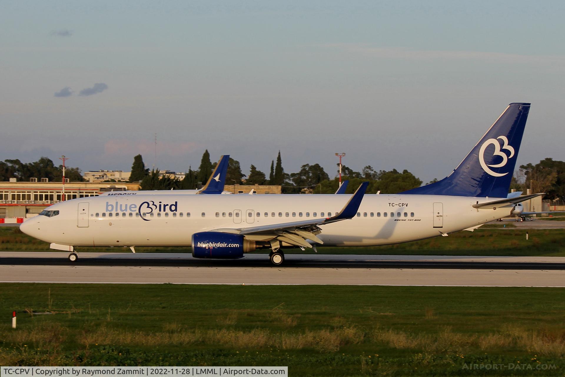 TC-CPV, 2011 Boeing 737-86J C/N 36884, B737-800 TC-CPV Blue Bird Airways