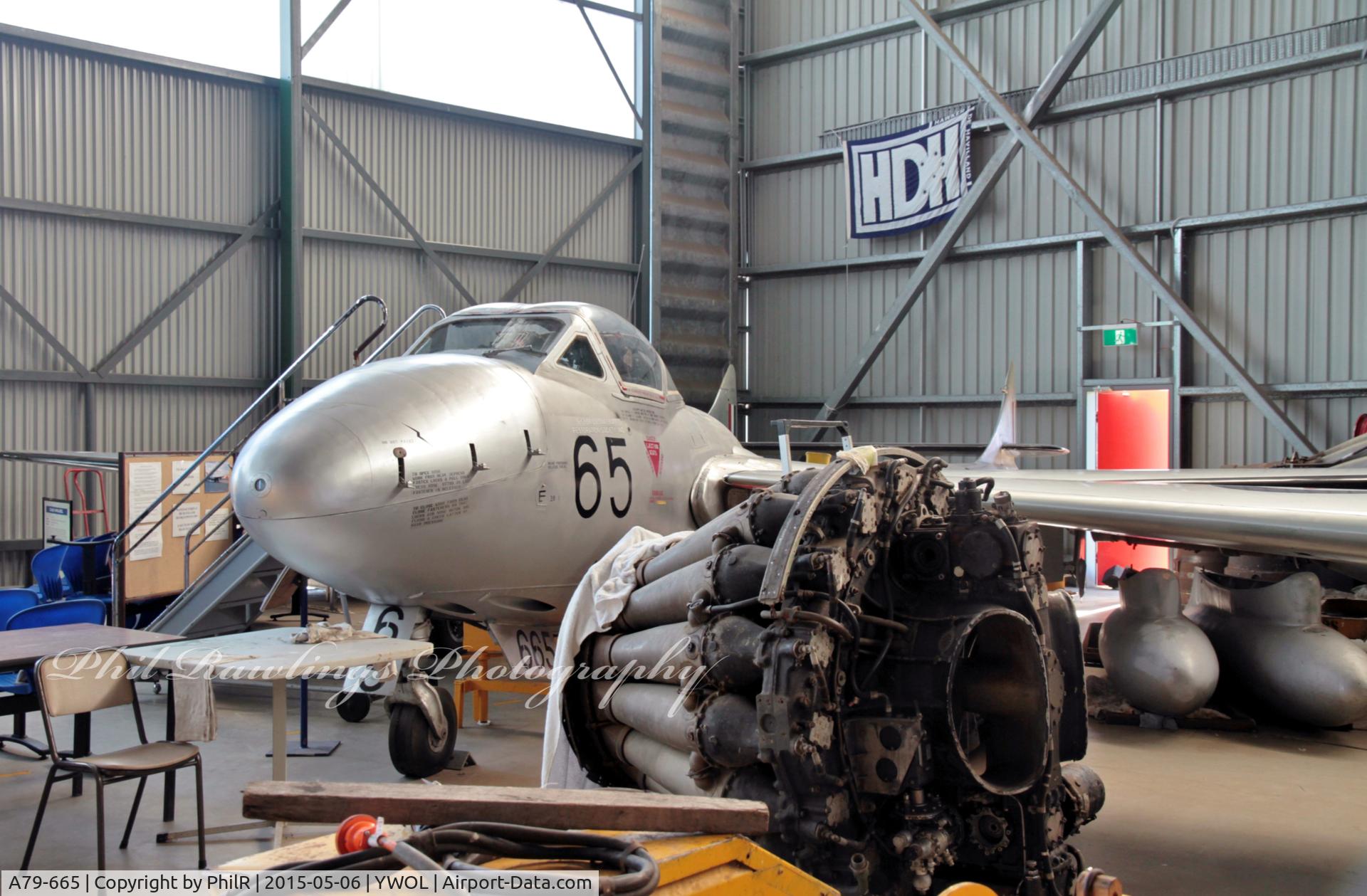 A79-665, De Havilland Australia DH-115 Vampire T.35 C/N DHA4187, A79-665 1959 DH115 Vampire T35A RAAF HARS Illawarra