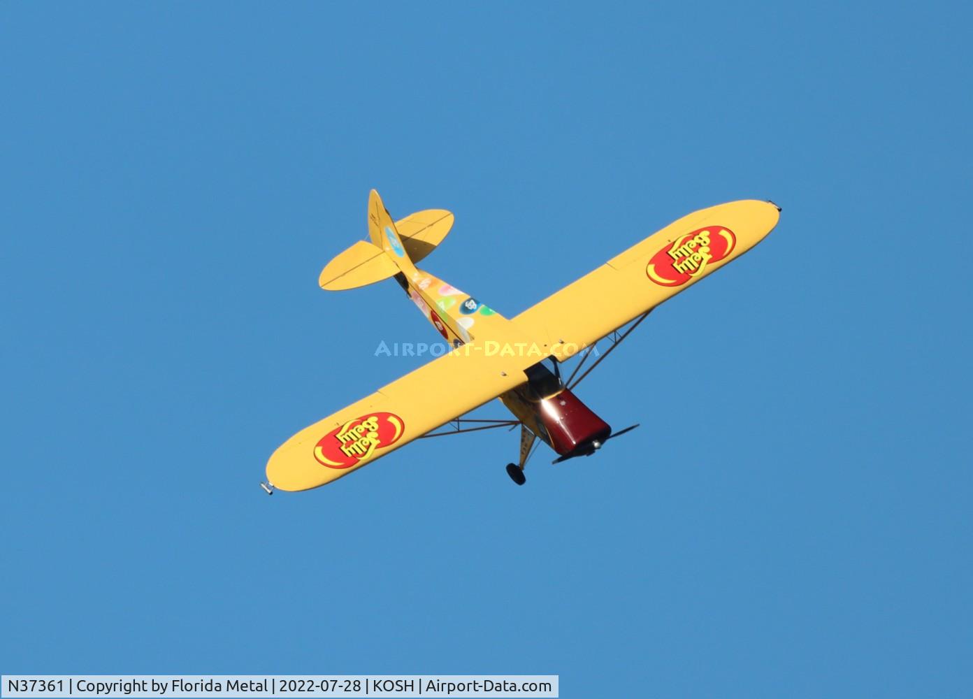 N37361, 1941 Interstate S-1A-65F Cadet C/N 204, OSH 2022