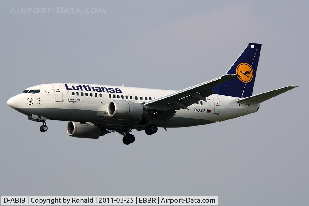 D-ABIB, 1990 Boeing 737-530 C/N 24816, at bru