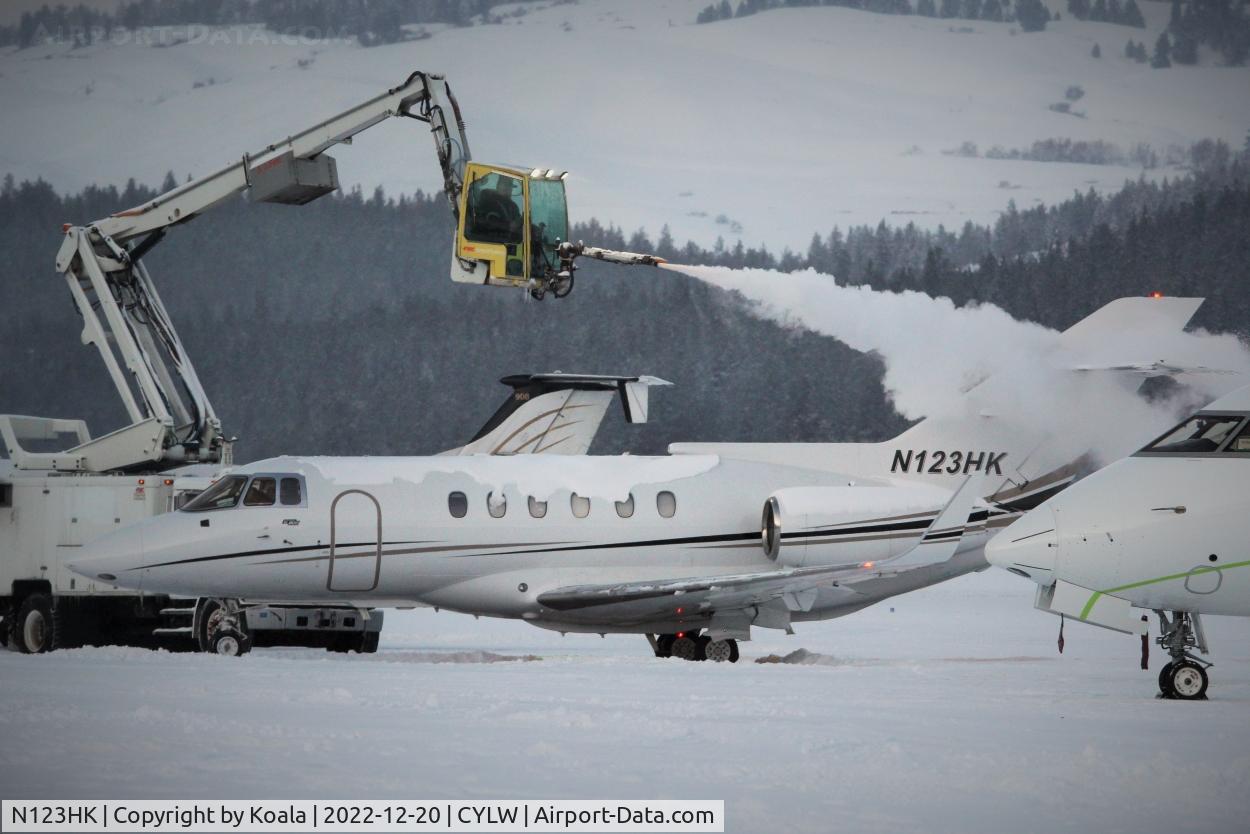 N123HK, 1992 British Aerospace BAe.125 Series 800A C/N 258208, De-icing.