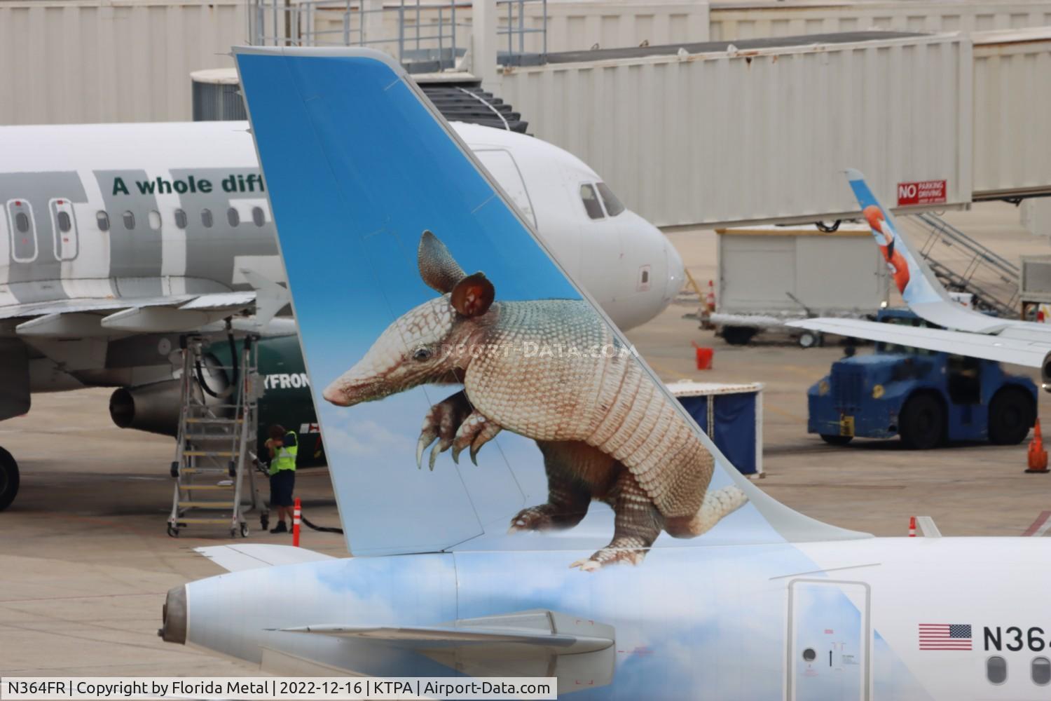 N364FR, 2019 Airbus A320-251NEO C/N 9271, Tex the Armadillo