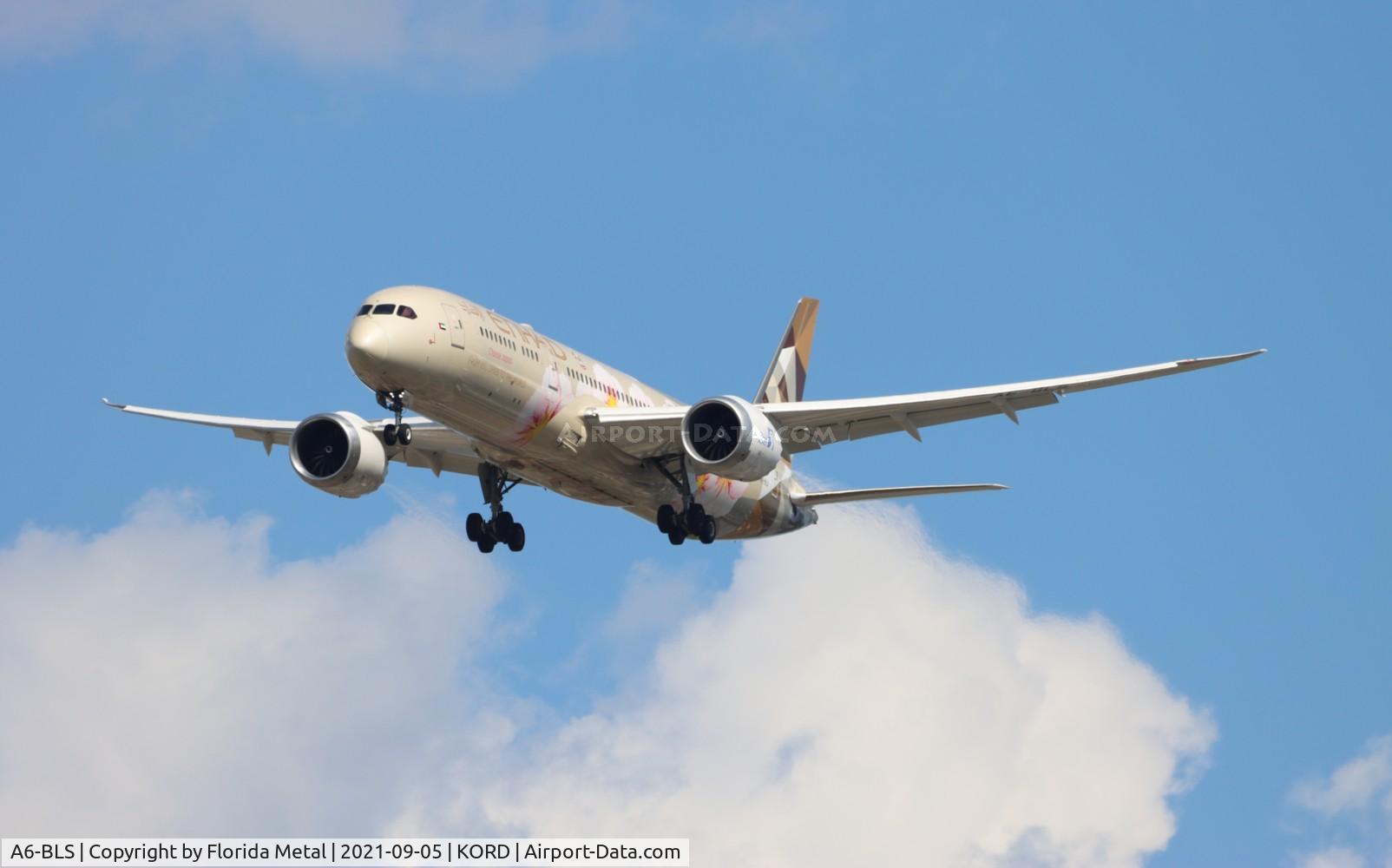 A6-BLS, 2017 Boeing 787-9 Dreamliner Dreamliner C/N 39664, Etihad 787-9 zx