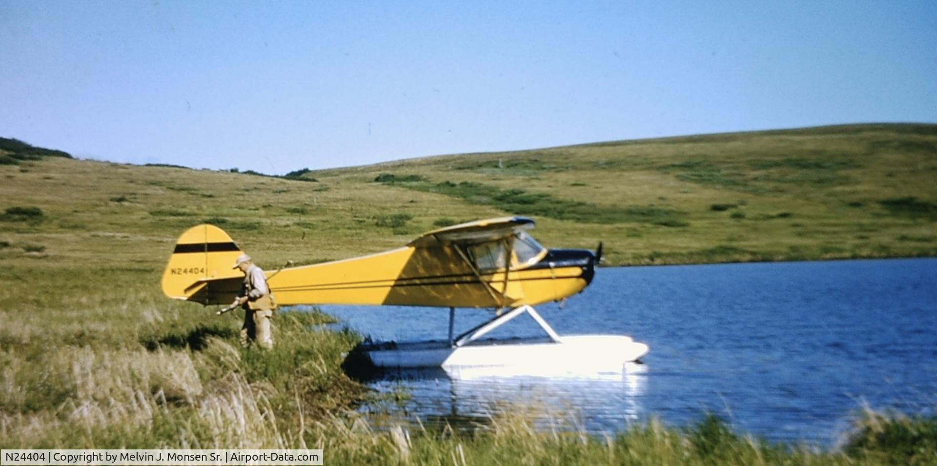 N24404, 1940 Taylorcraft BC-65 C/N 1740, Delivering prospector to his claim southeast of Iliamna Lake, Alaska 1956.