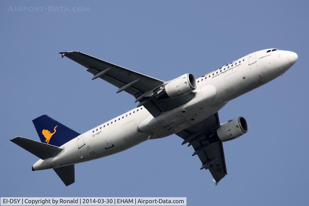 EI-DSY, 2008 Airbus A320-216 C/N 3666, at spl
